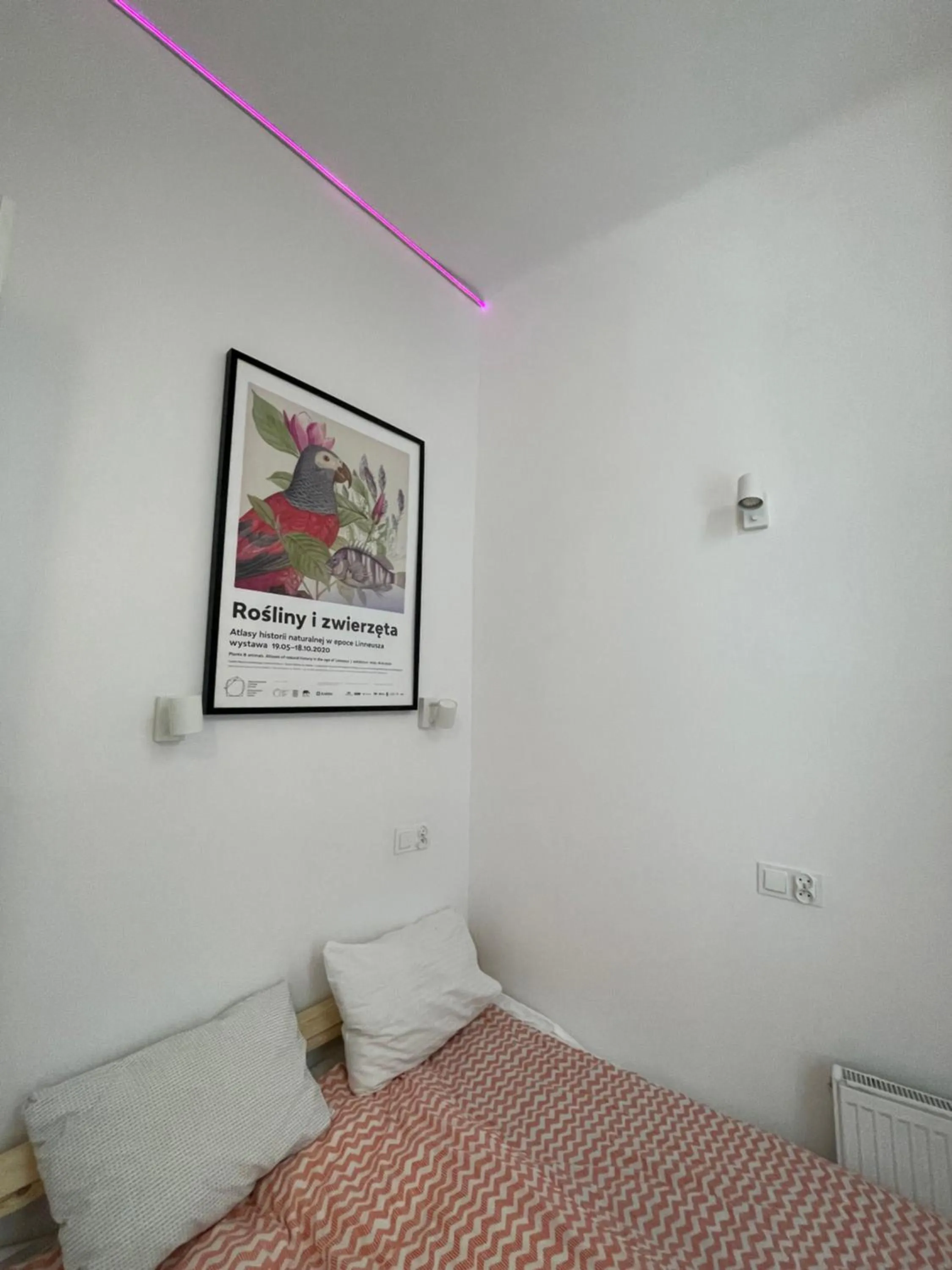 Bed in Roller Aparthotel