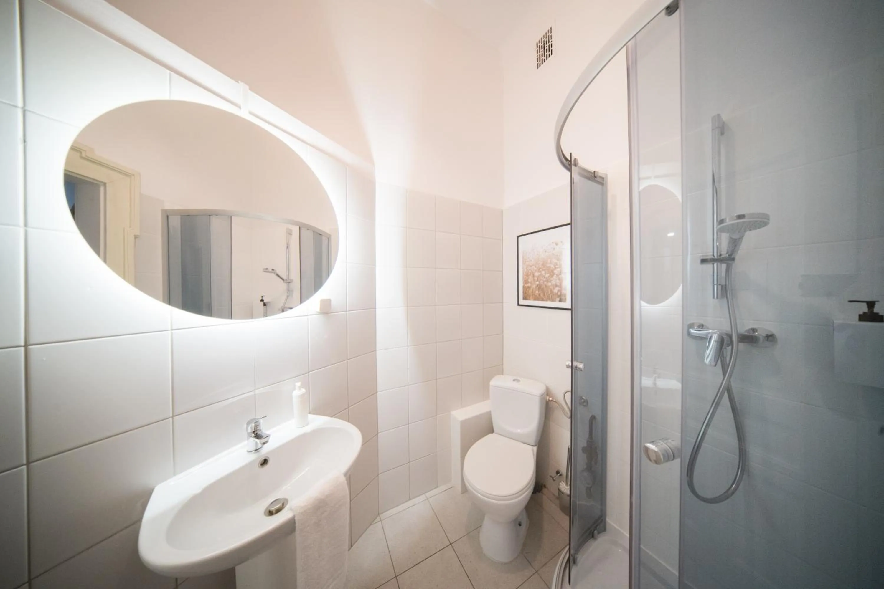 Shower in Roller Aparthotel