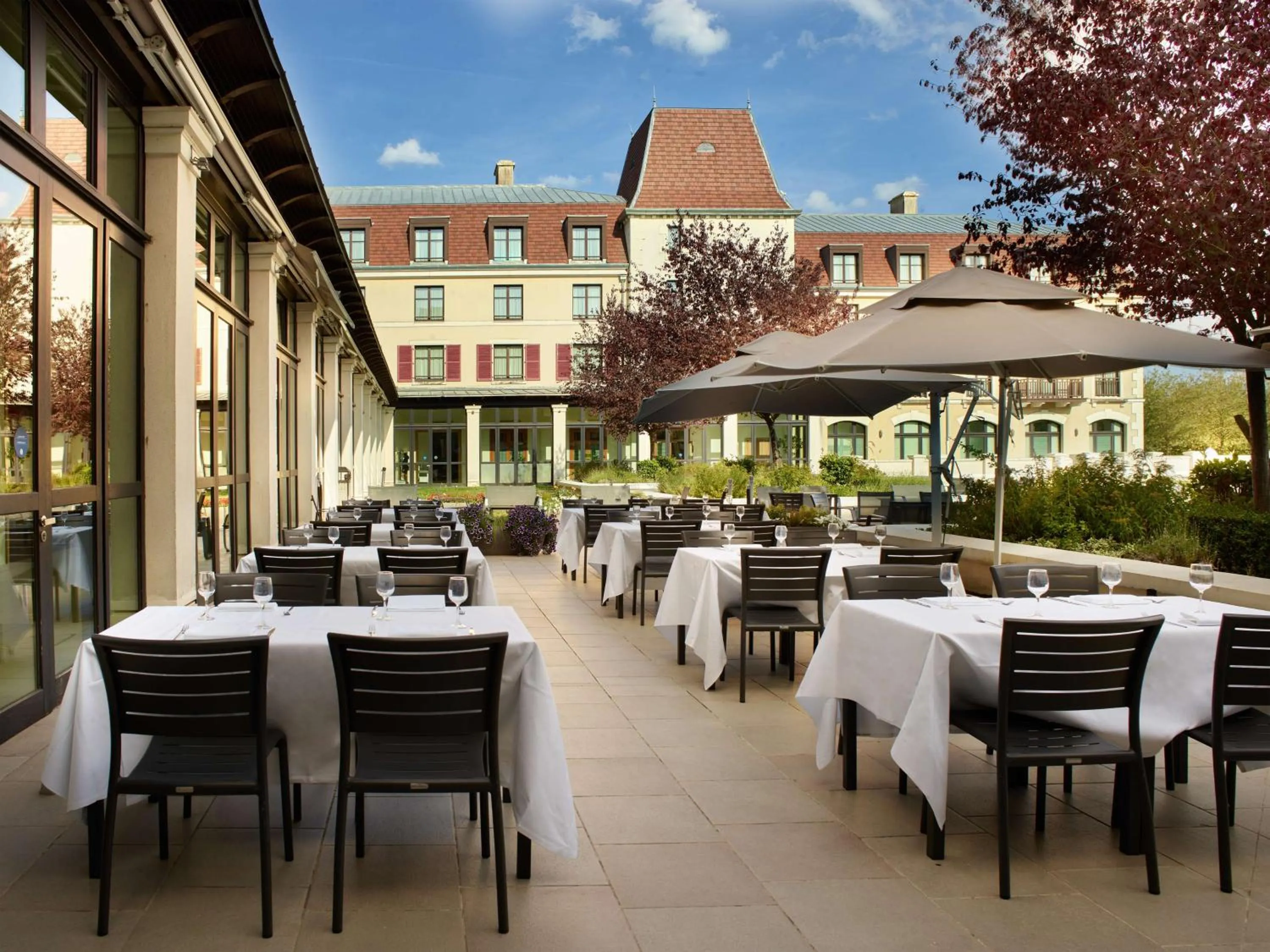 Patio in Radisson Blu Hotel Paris, Marne-la-Vallée