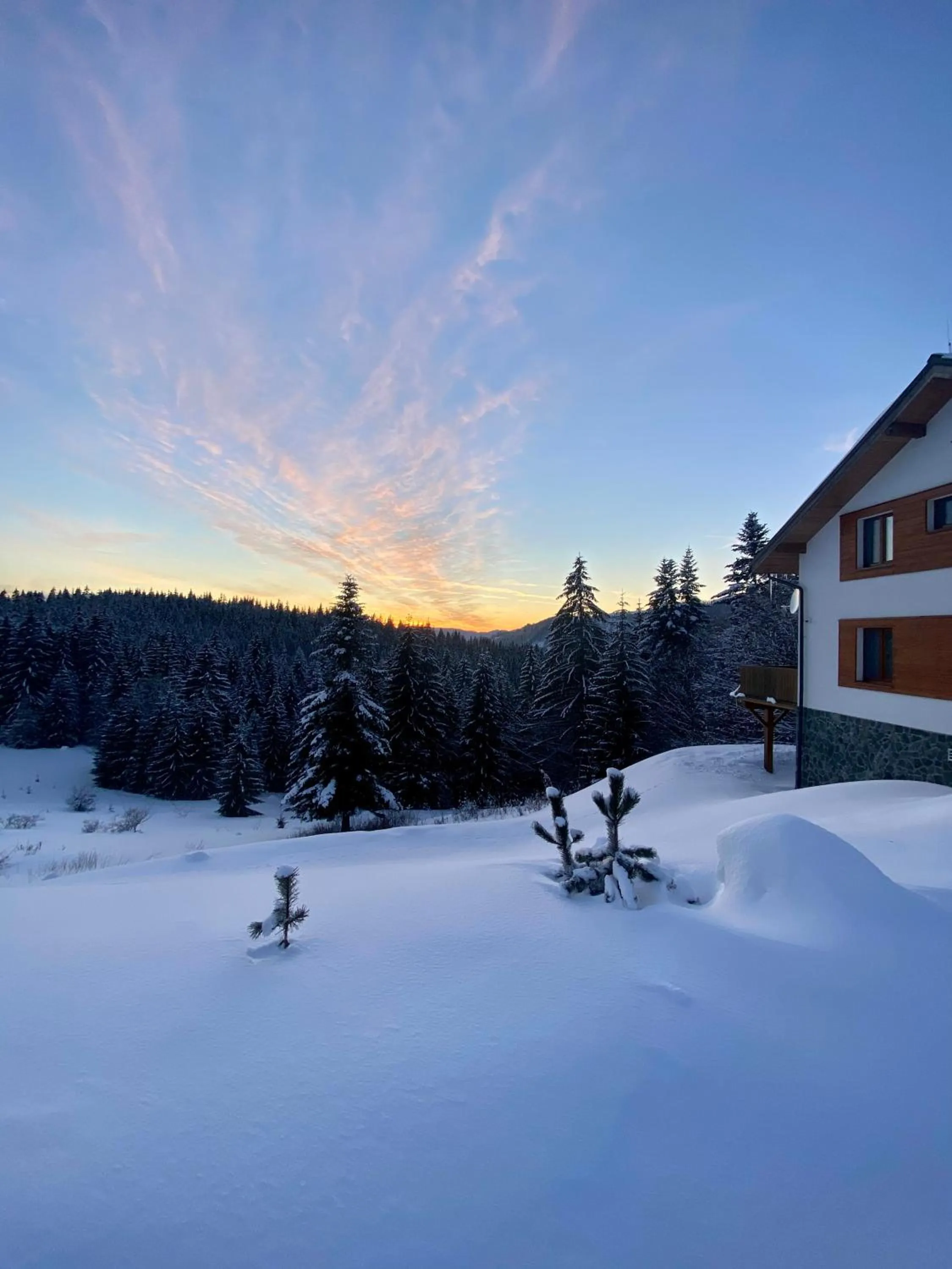 Natural landscape in Vila Ambiente Donovaly