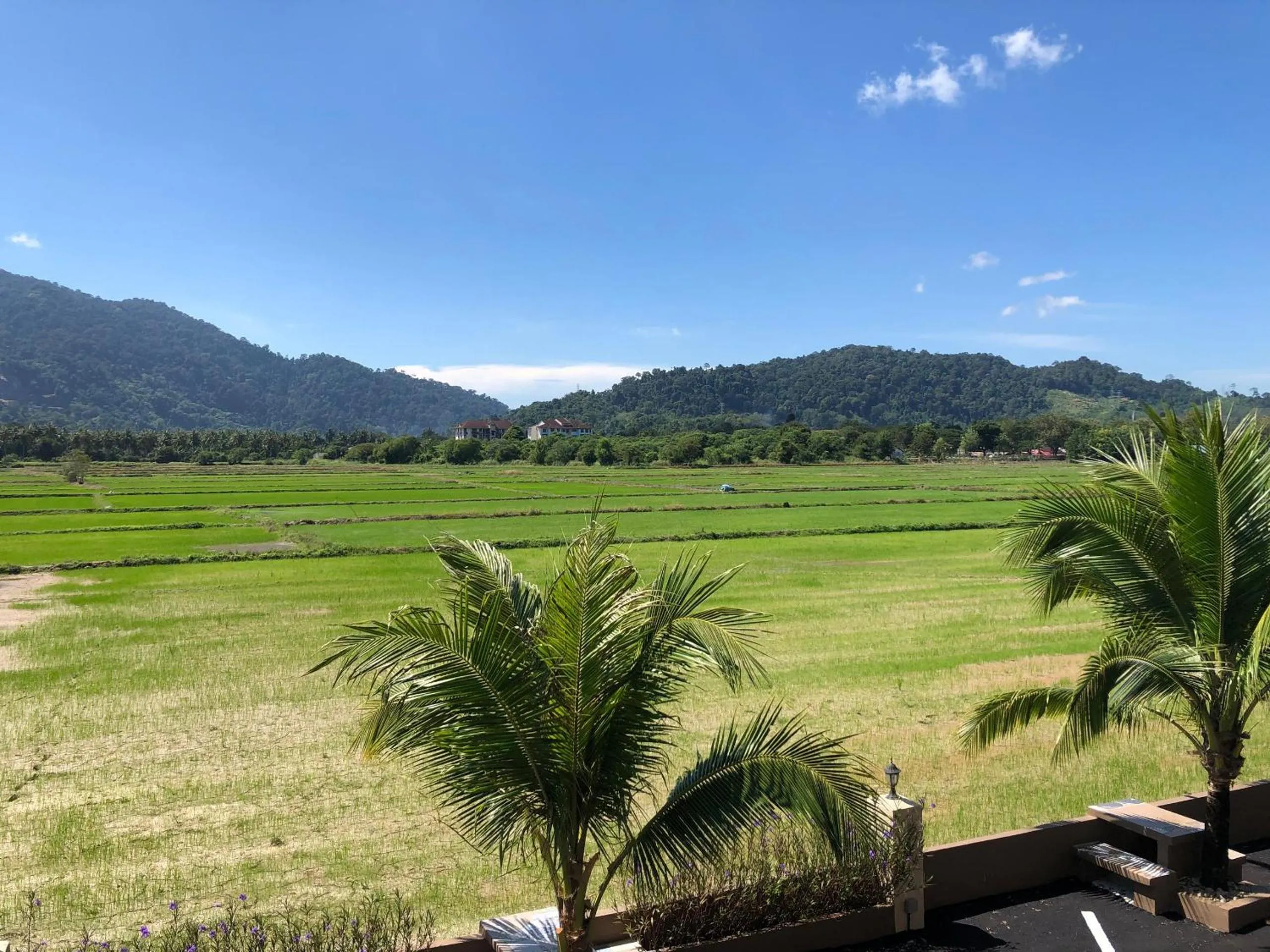 Mountain view in DVilla Guesthouse Langkawi