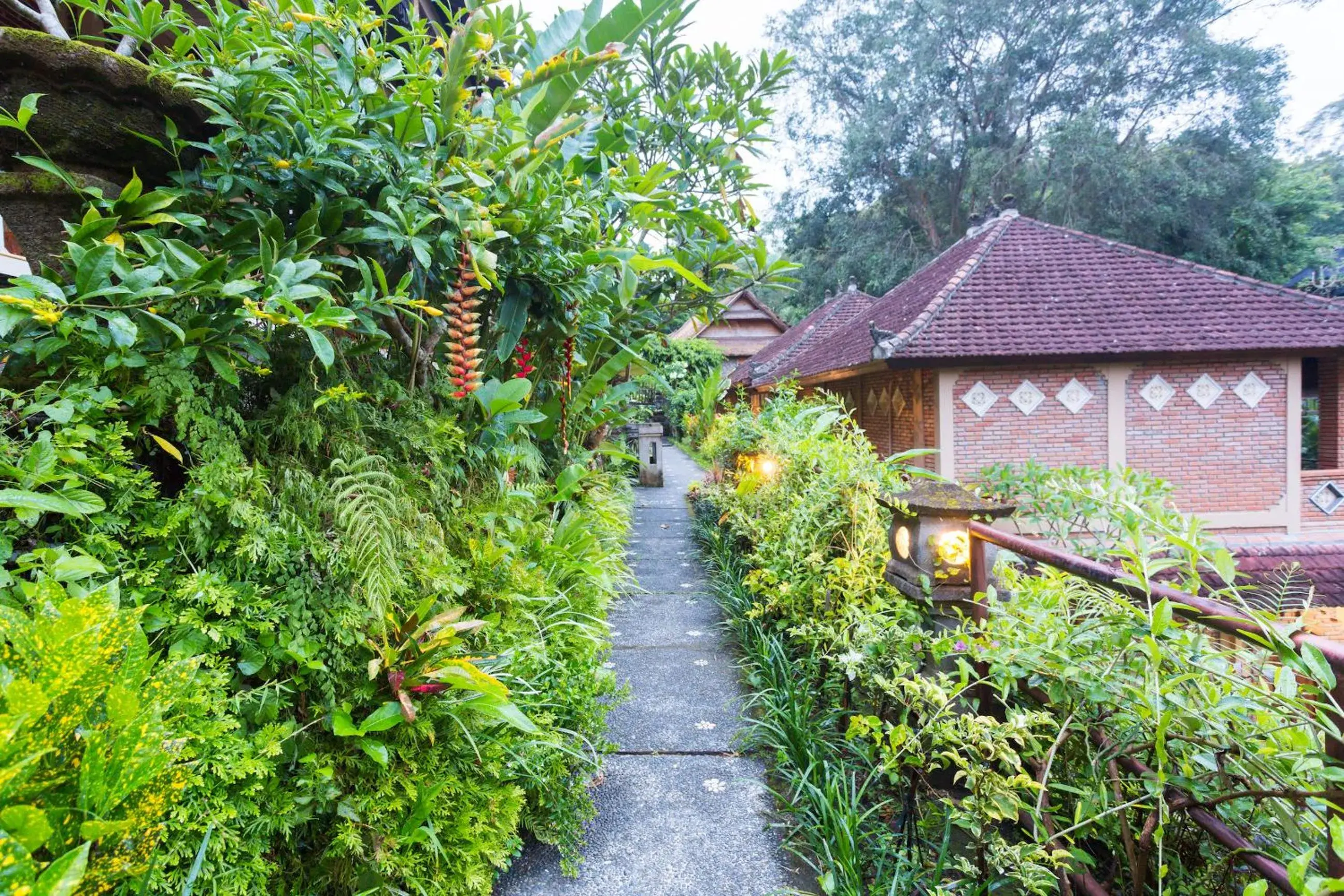 Garden, Property Building in Ani's Villas