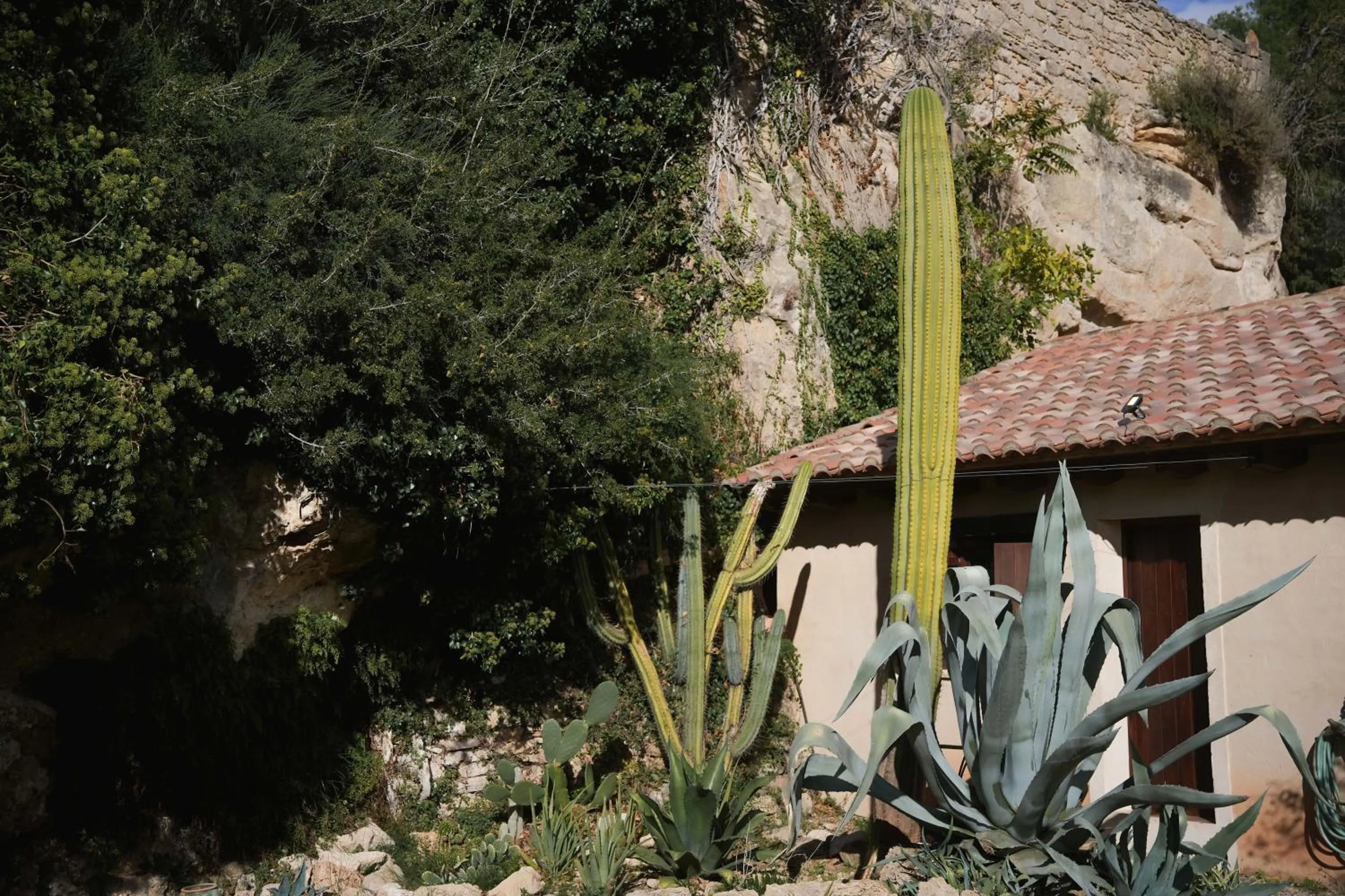 Hotel Hort De Fortunyo