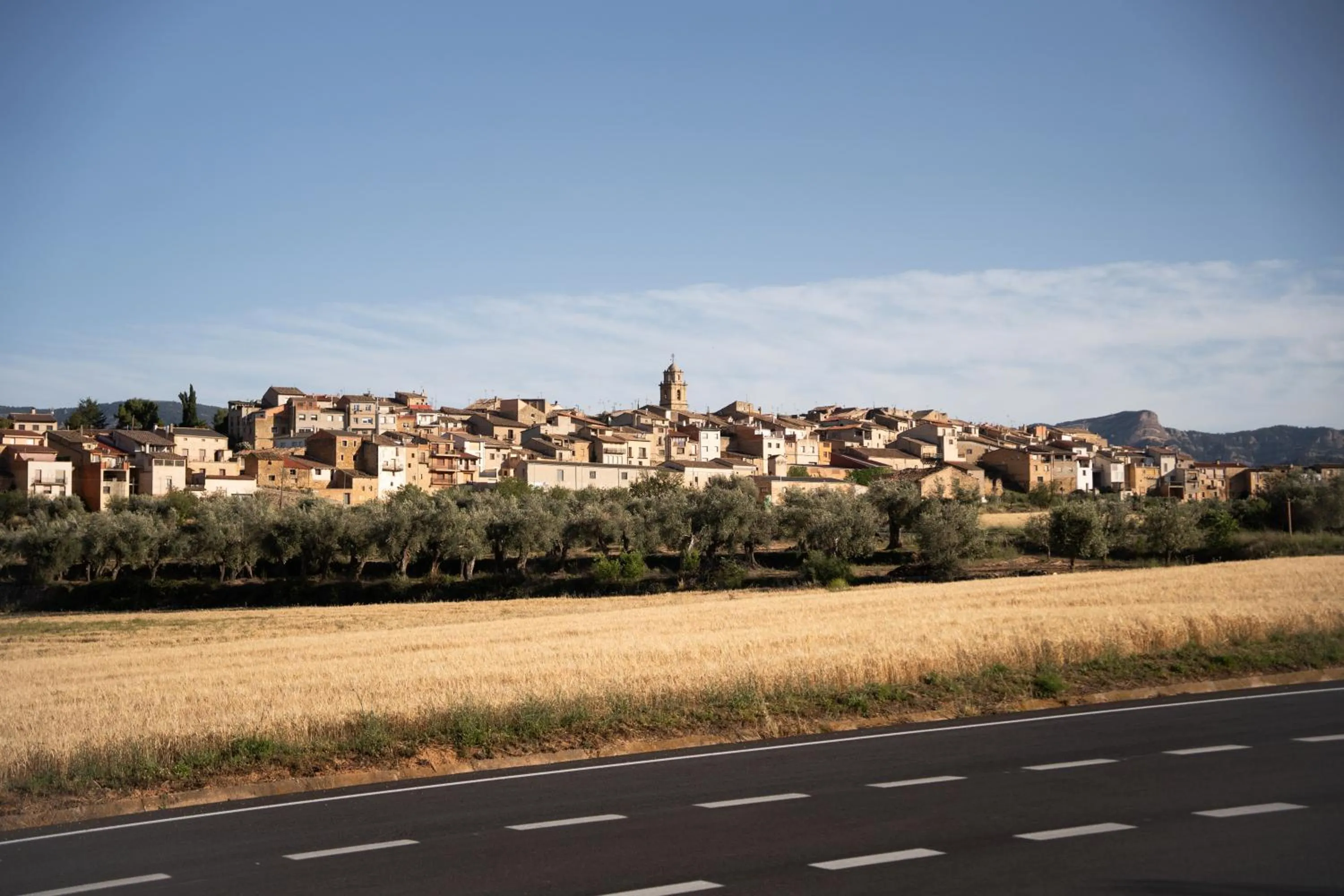 Hotel Hort De Fortunyo