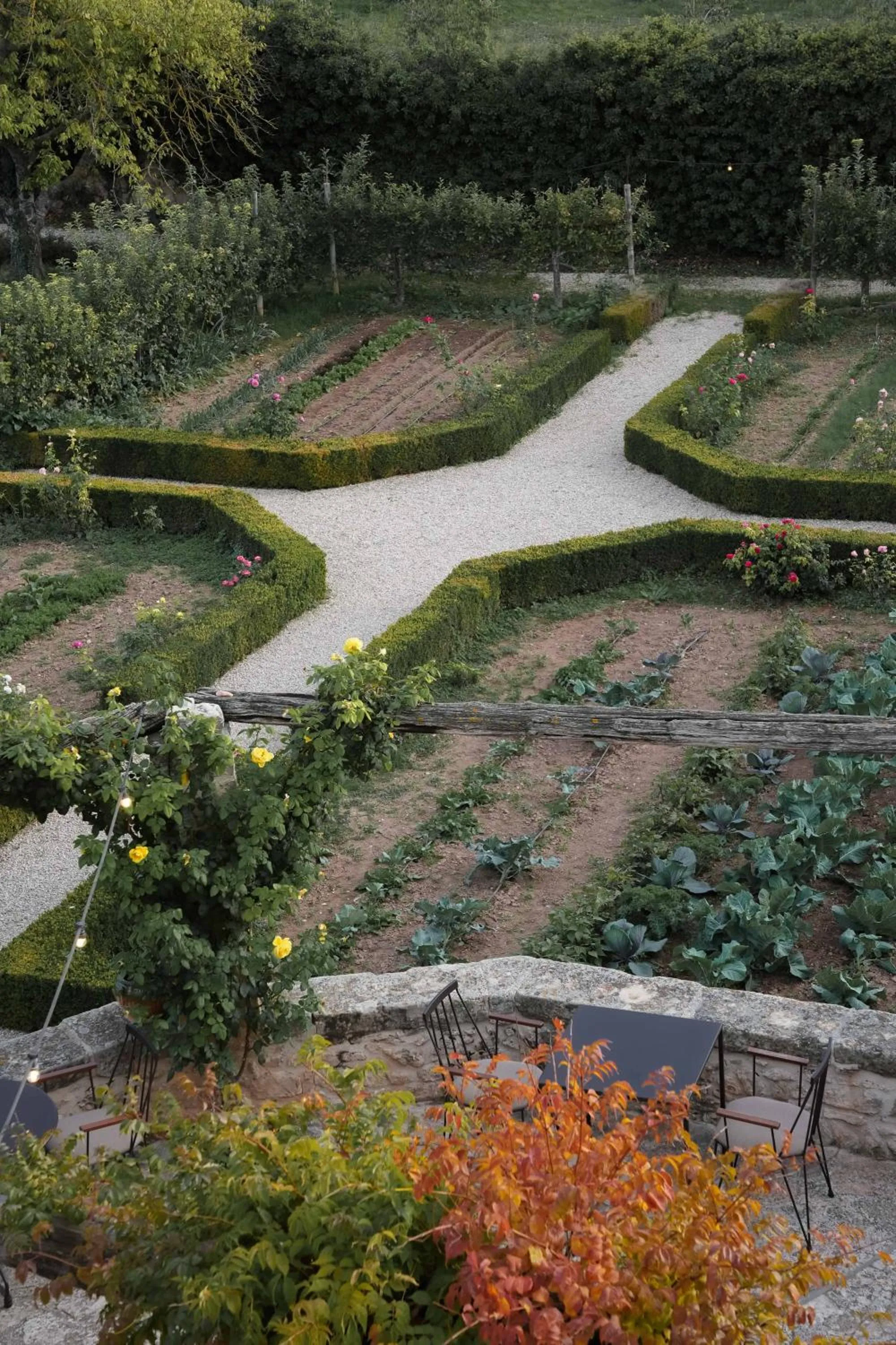Natural landscape in Hotel Hort De Fortunyo