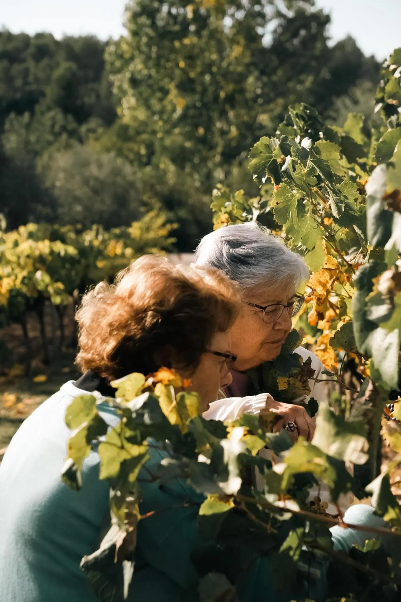 Hotel Hort De Fortunyo