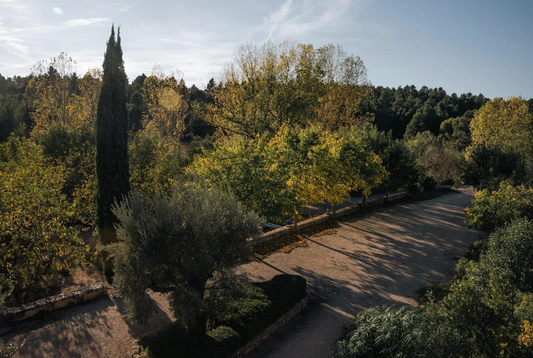 Hotel Hort De Fortunyo