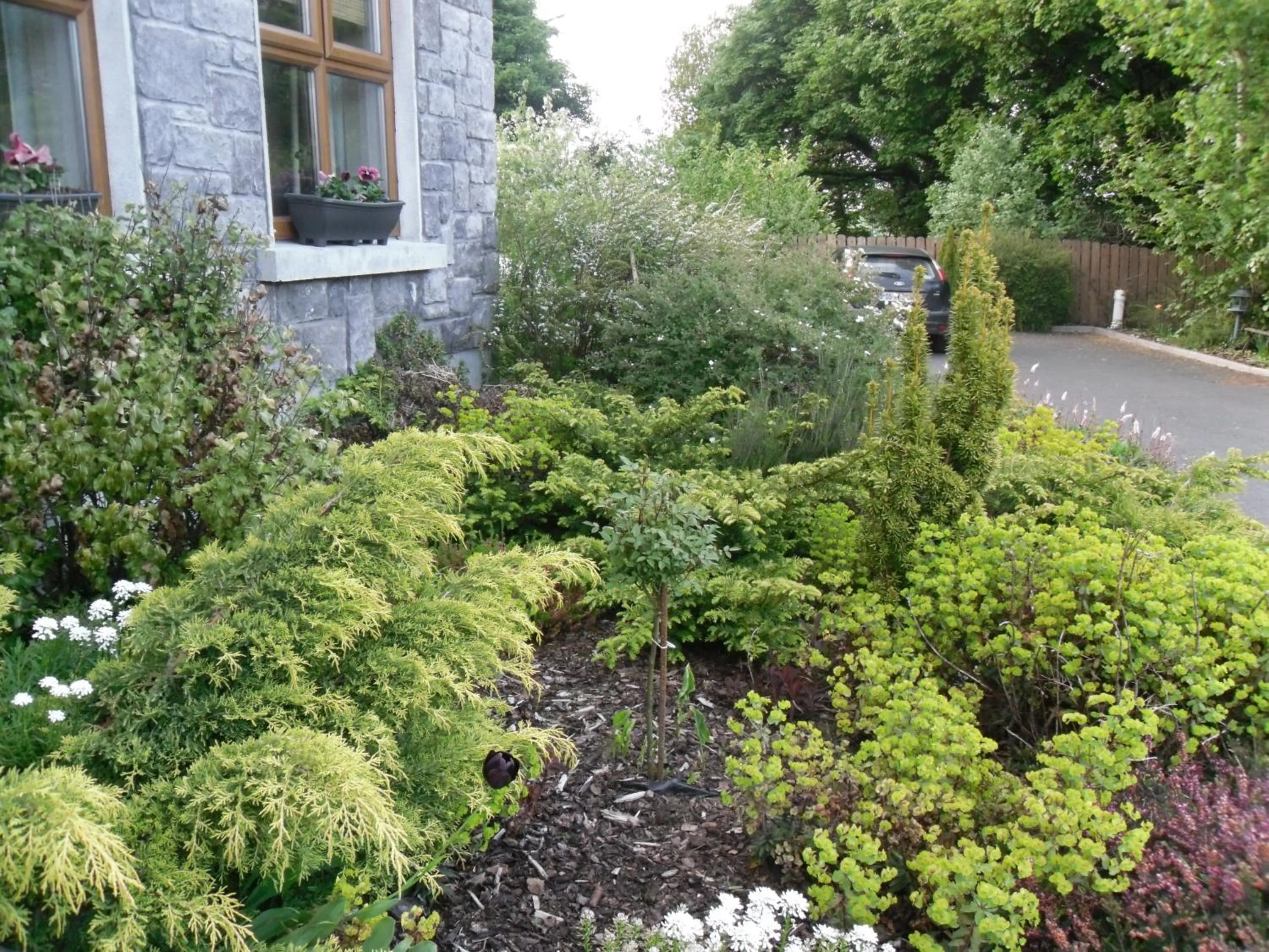 Garden in Church View House F56H977