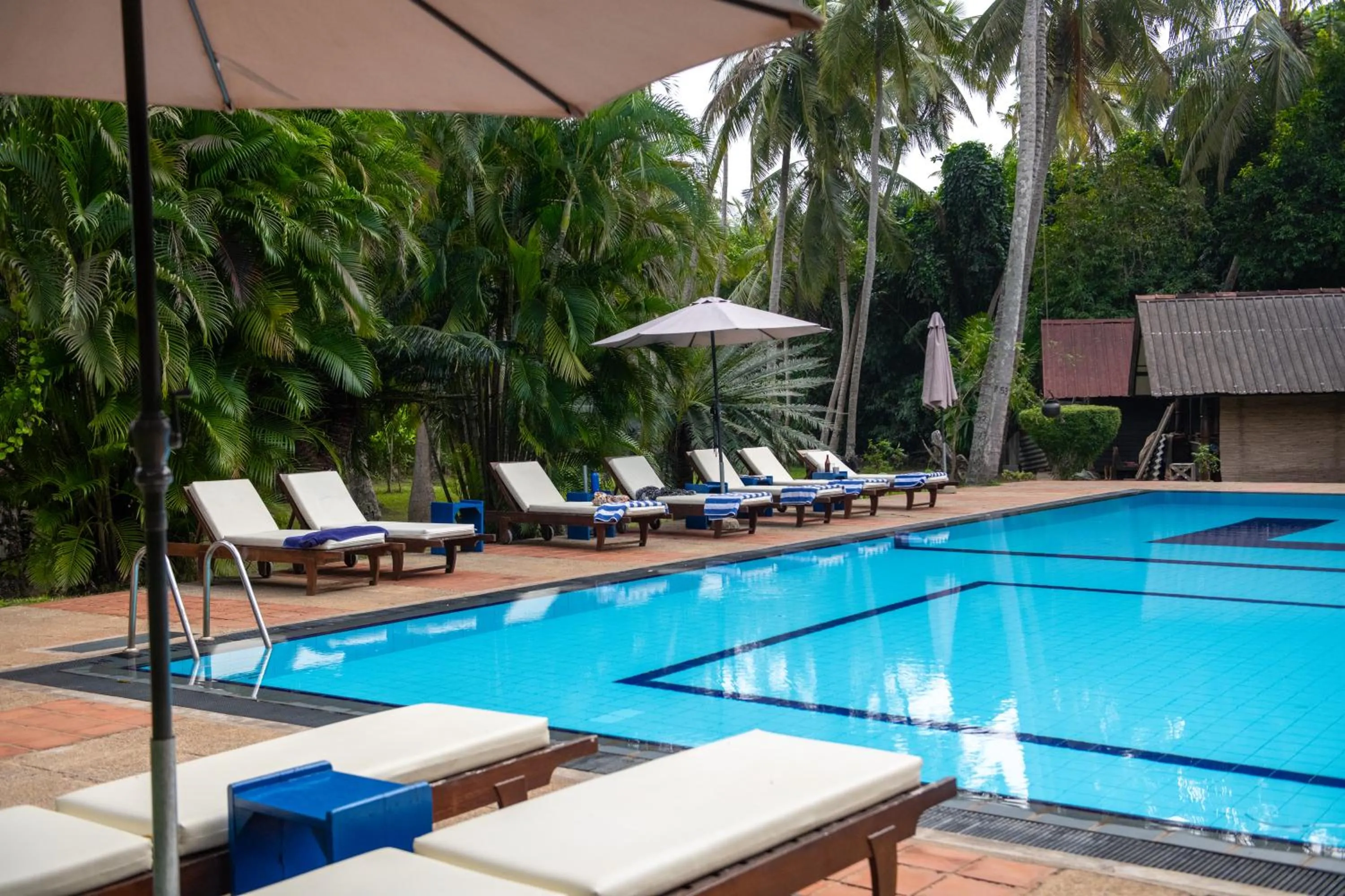 Pool view in Ging Oya Lodge