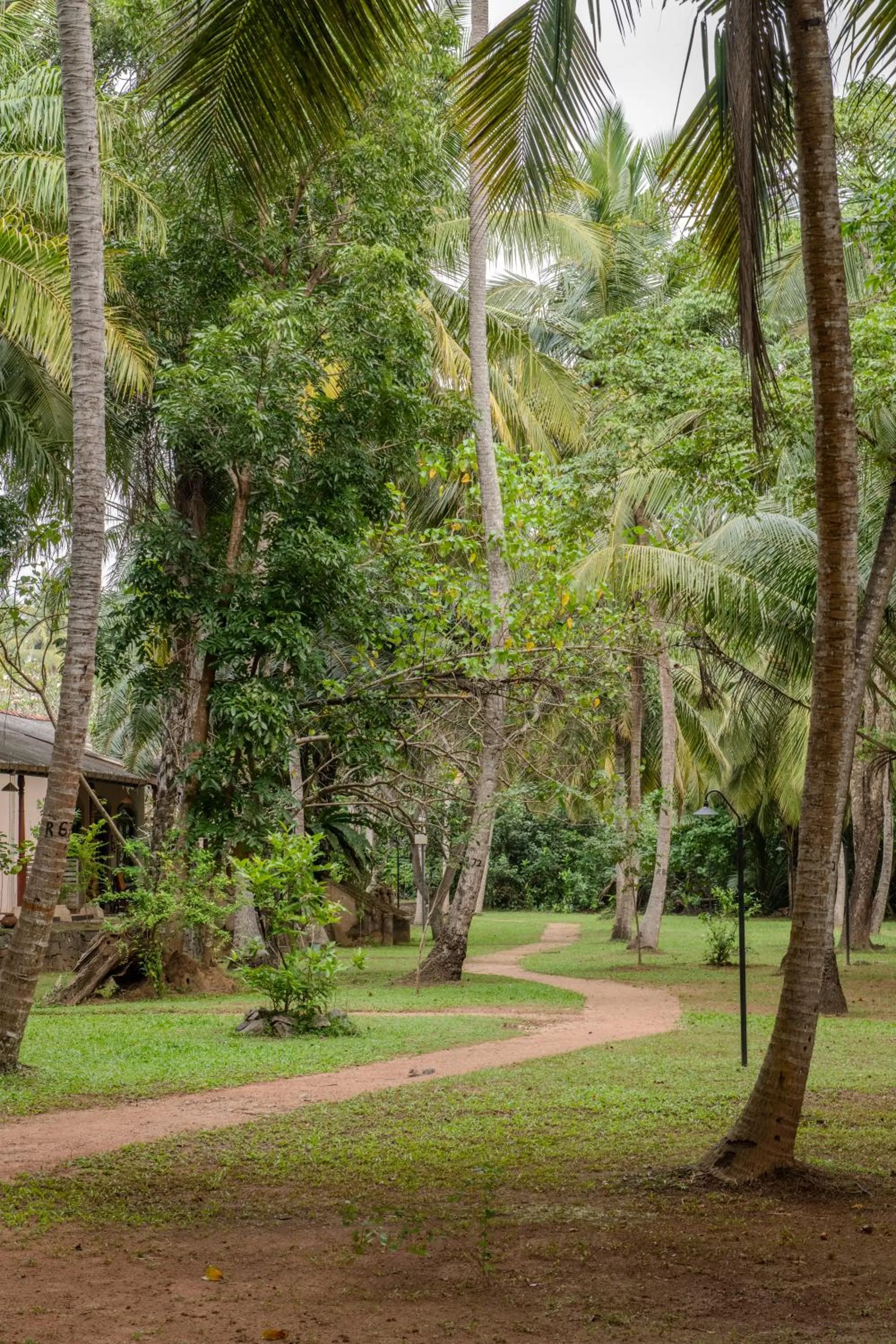 Natural landscape in Ging Oya Lodge
