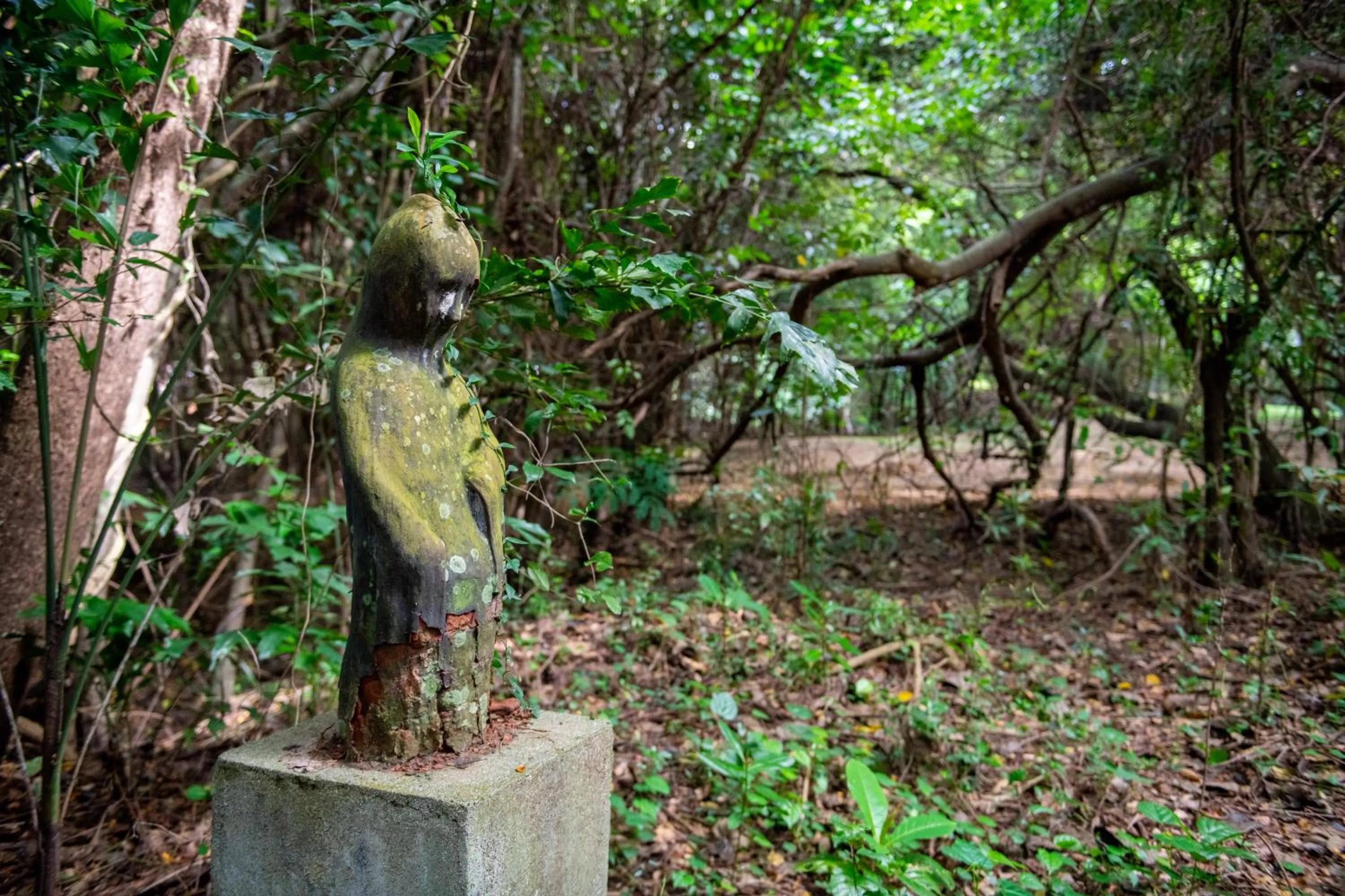 Natural landscape in Ging Oya Lodge