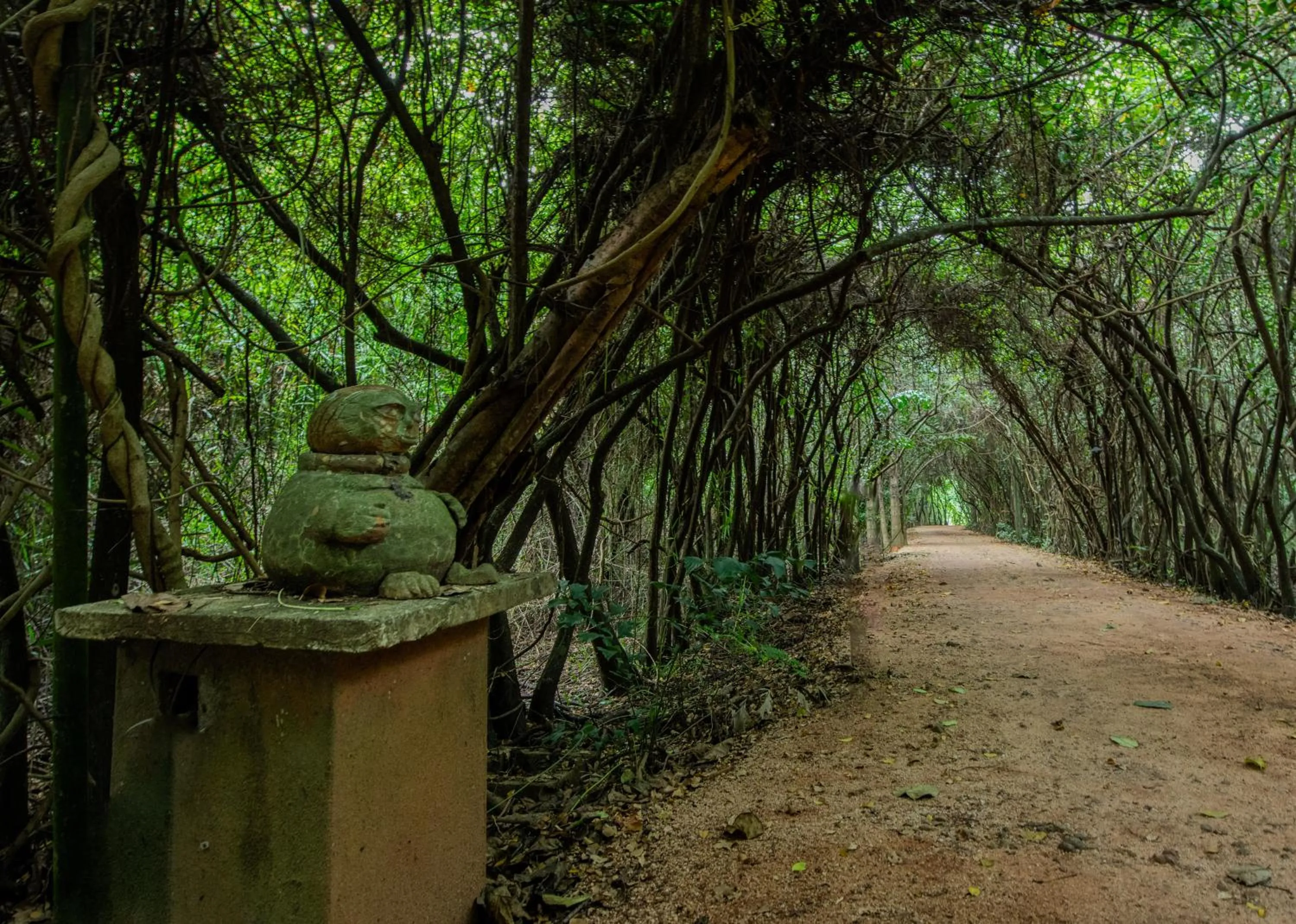 Natural landscape in Ging Oya Lodge