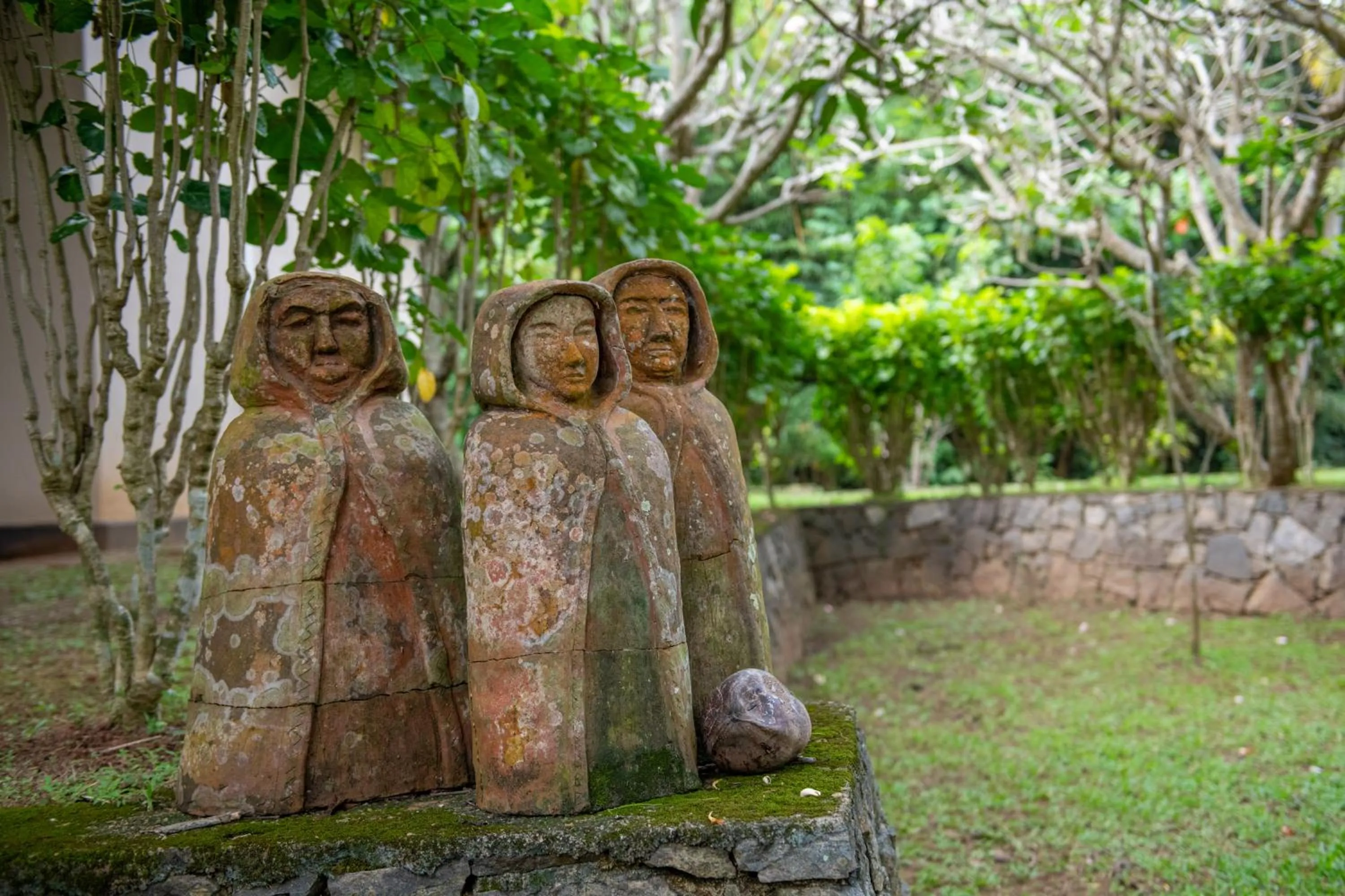 Natural landscape in Ging Oya Lodge