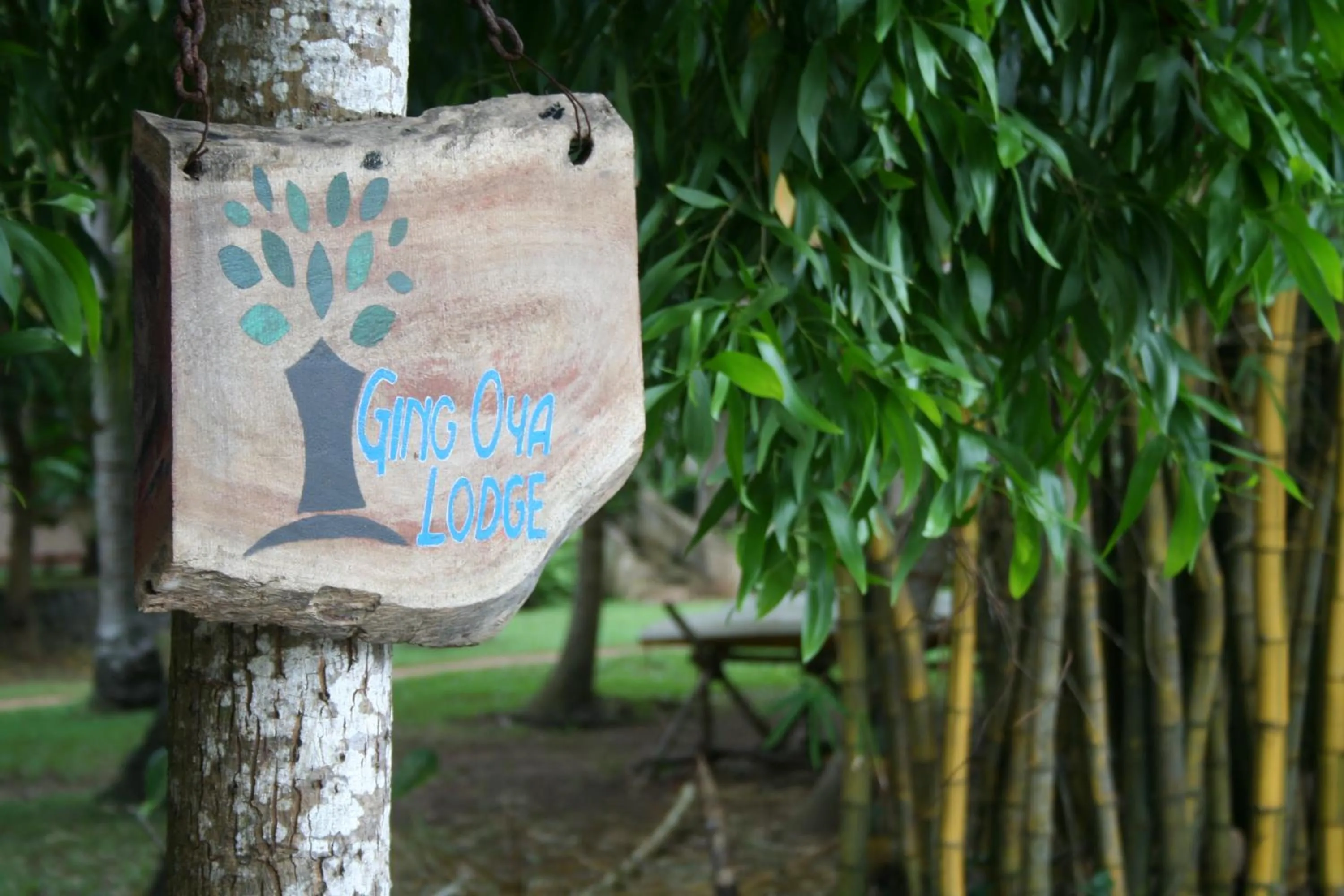 Property logo or sign in Ging Oya Lodge