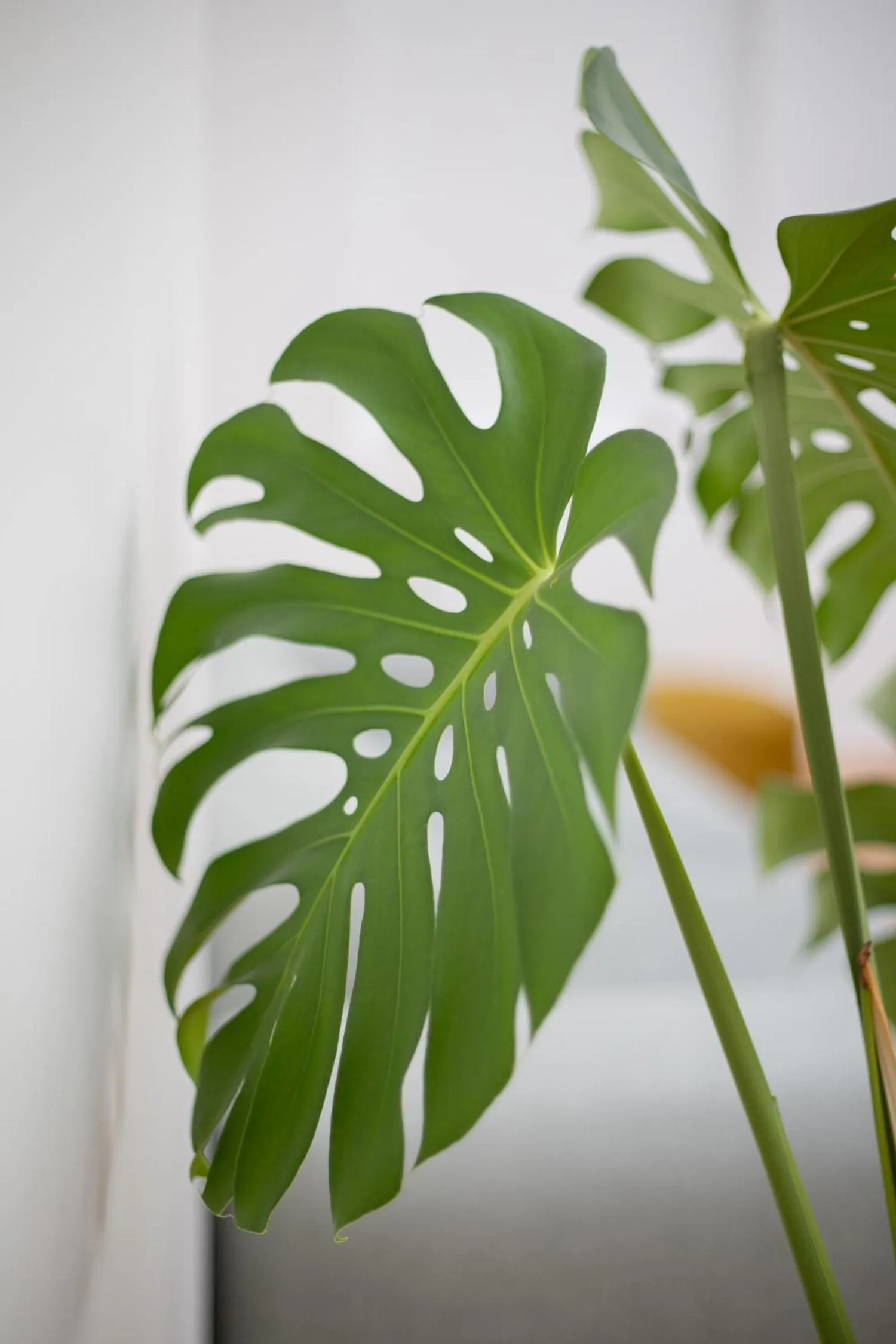 Property building in Hôtel Porte Mars - Reims Gare Centre Arena