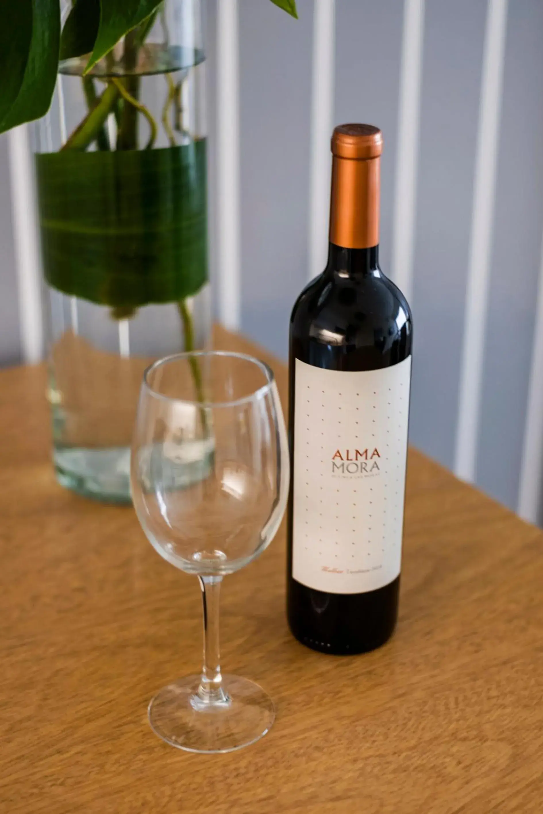 Top Rentals Palermo Chico Top Rentals Palermo Chico