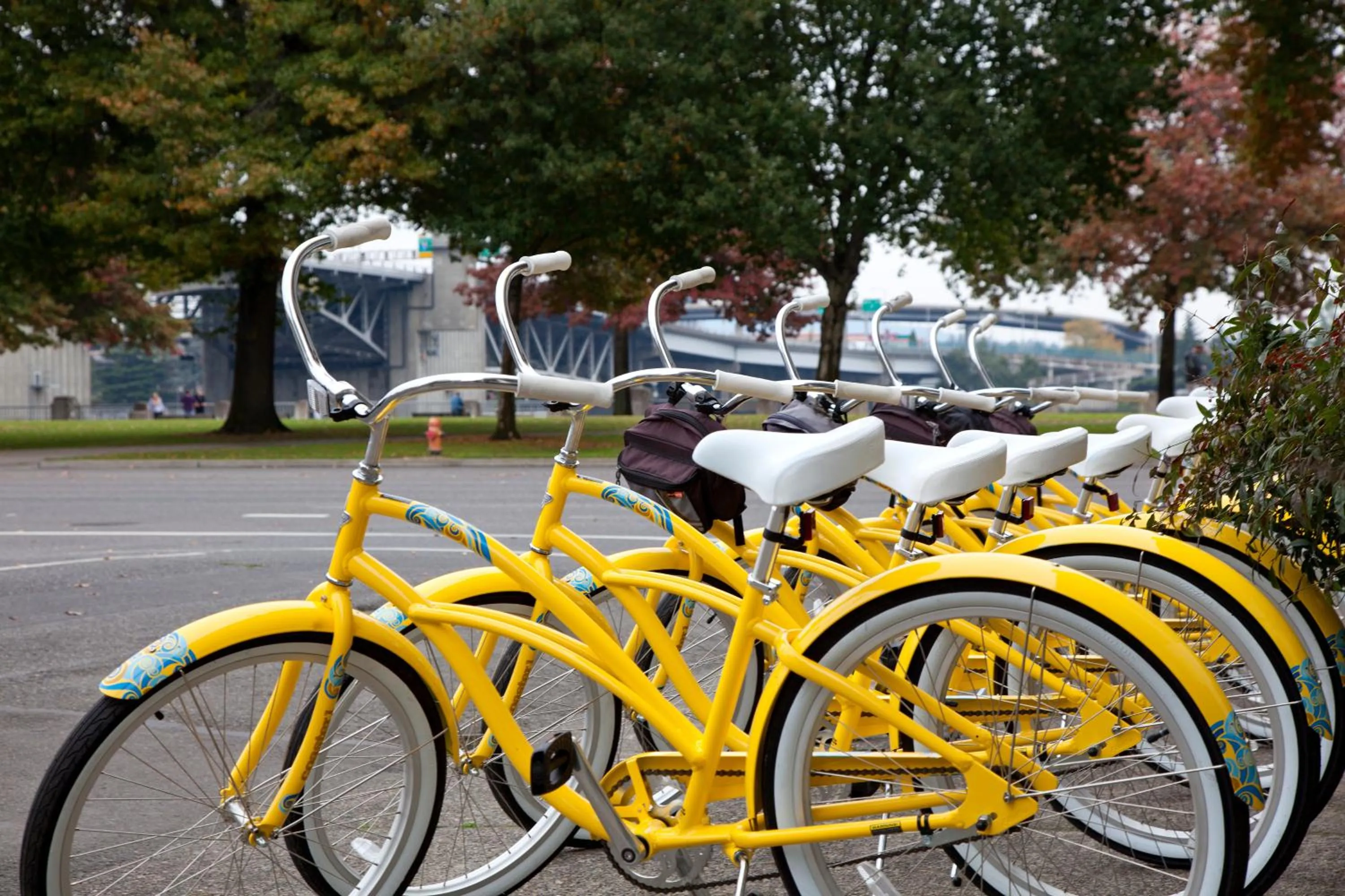 Cycling in Staypineapple, Hotel Rose, Downtown Portland