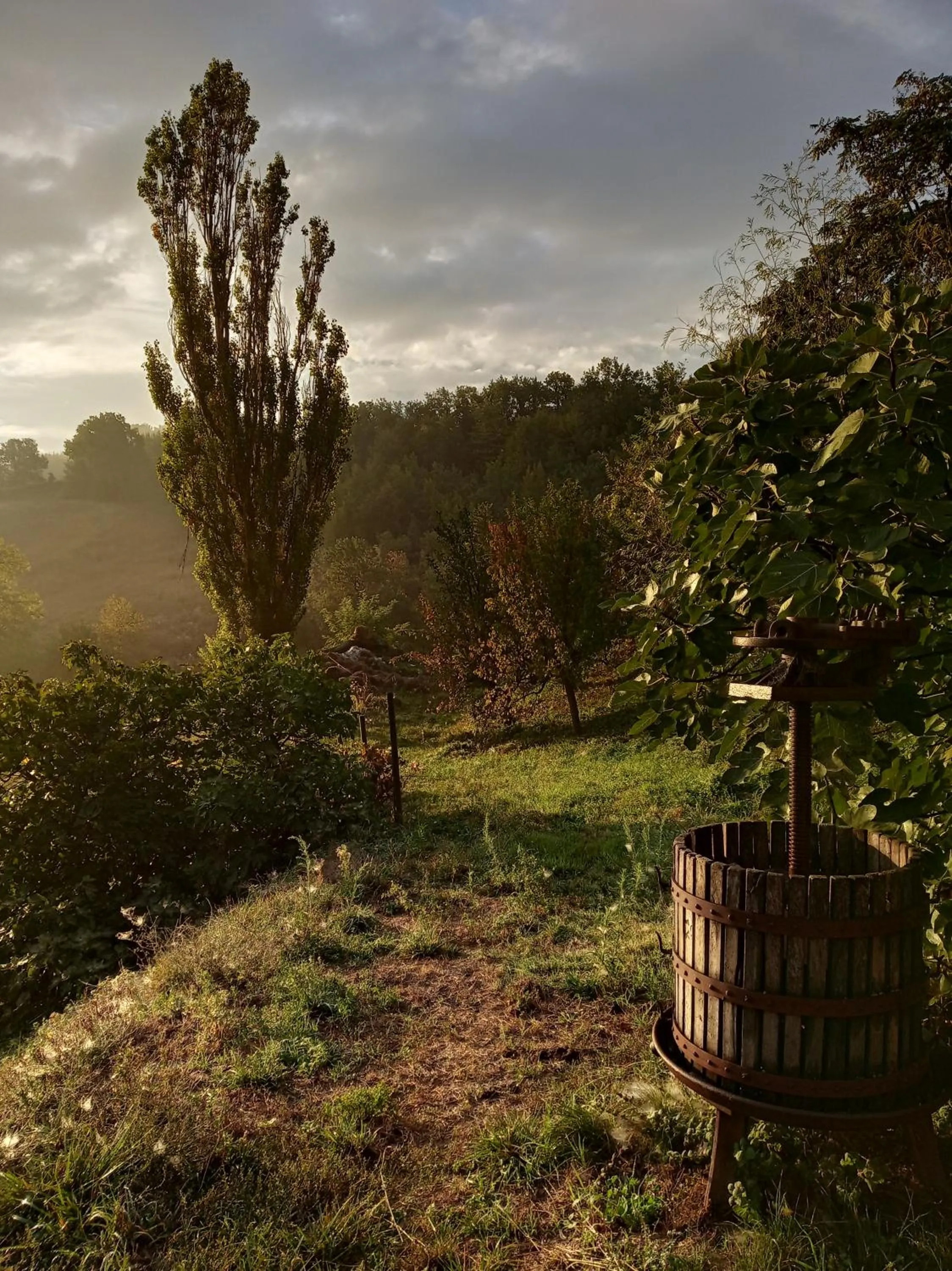 View (from property/room) in B&B Lupin View