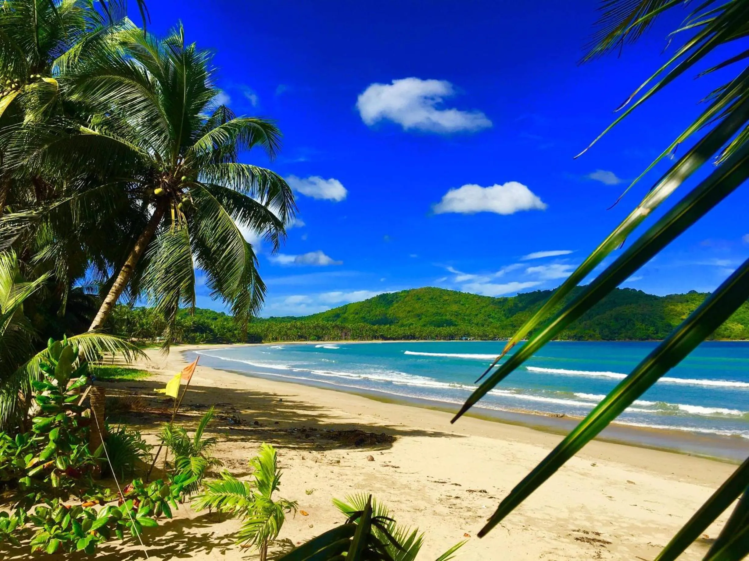 Zhaya's Beach & Cottages