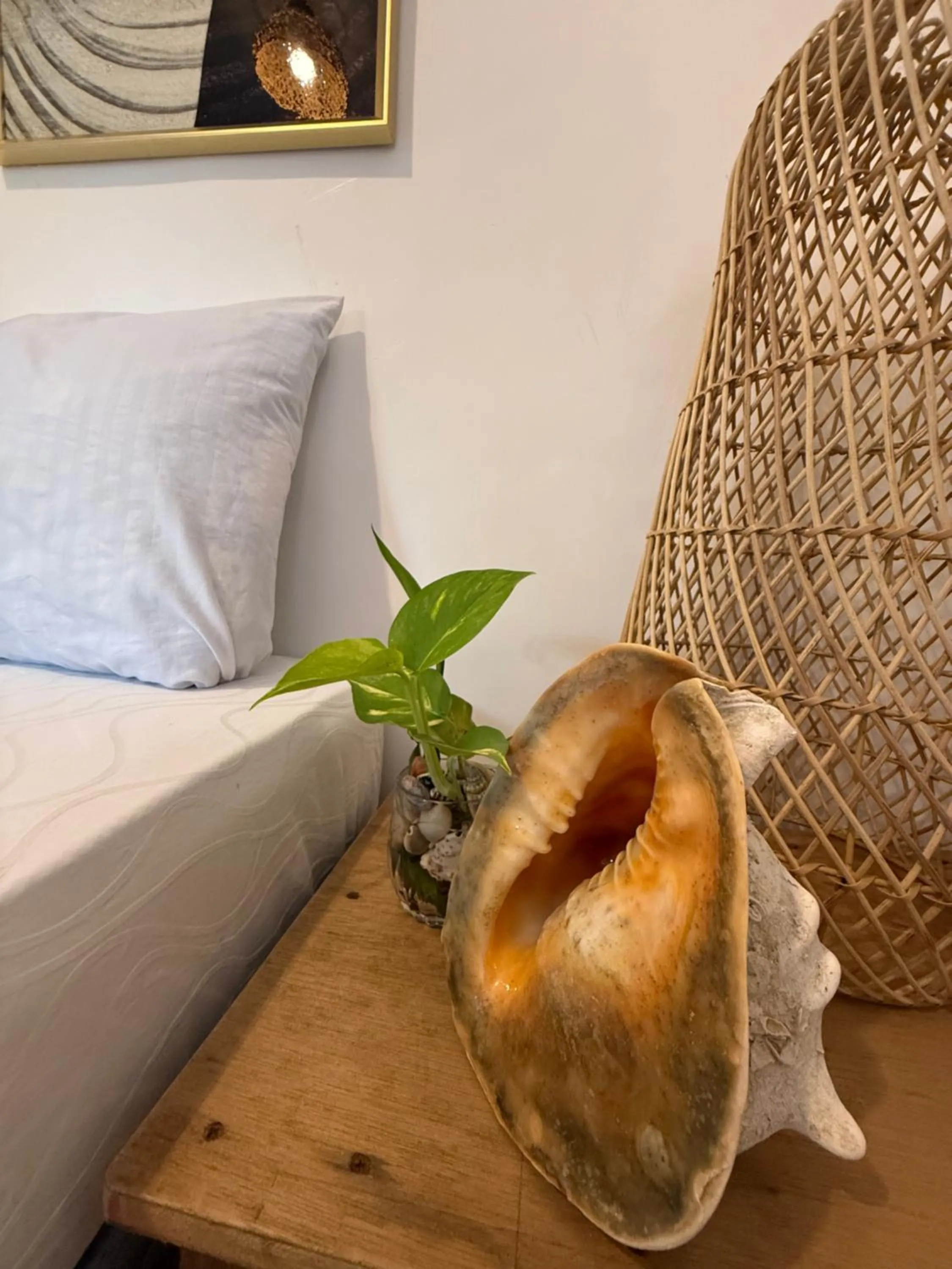 Zhaya's Beach & Cottages