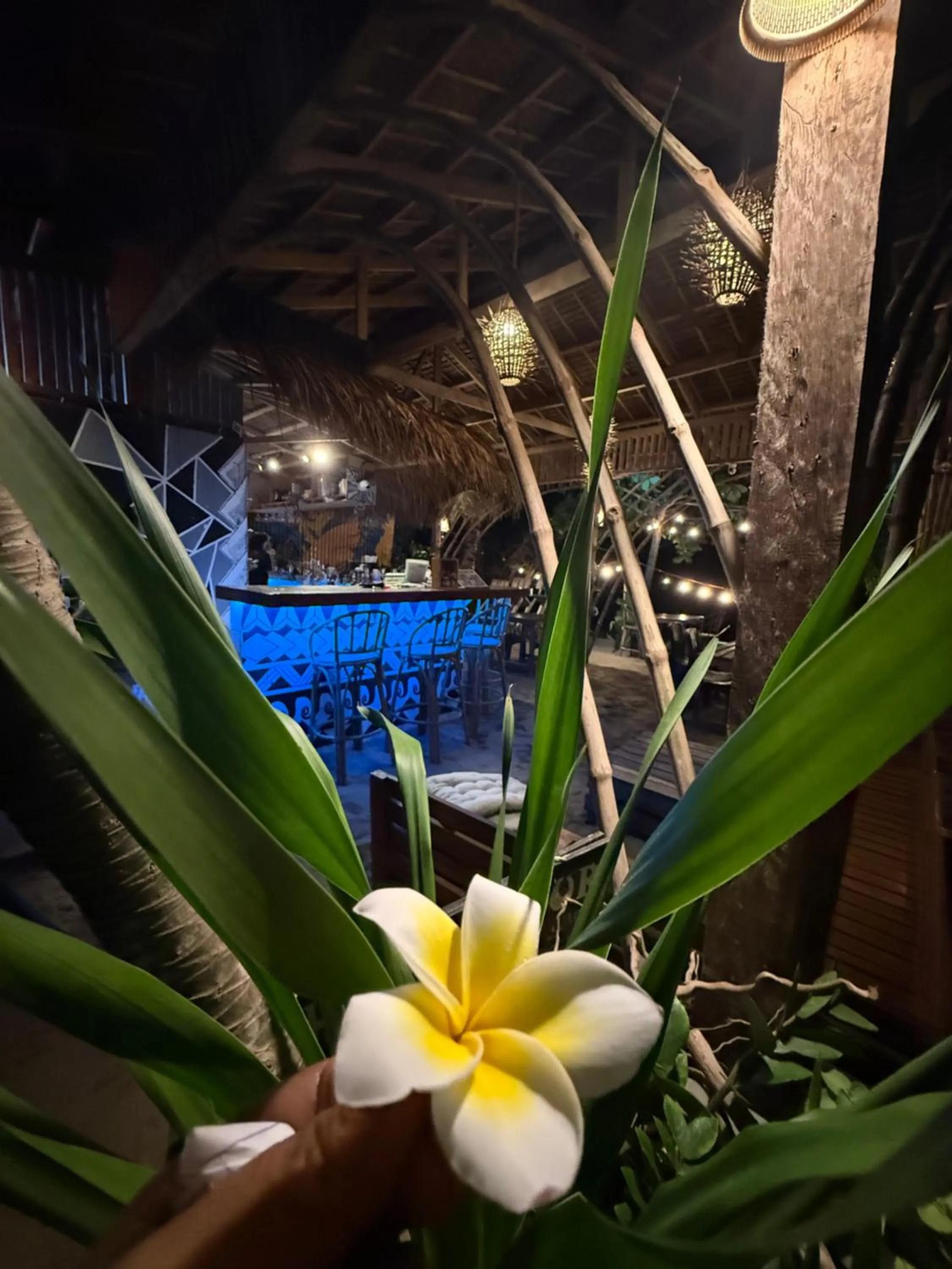 Zhaya's Beach & Cottages