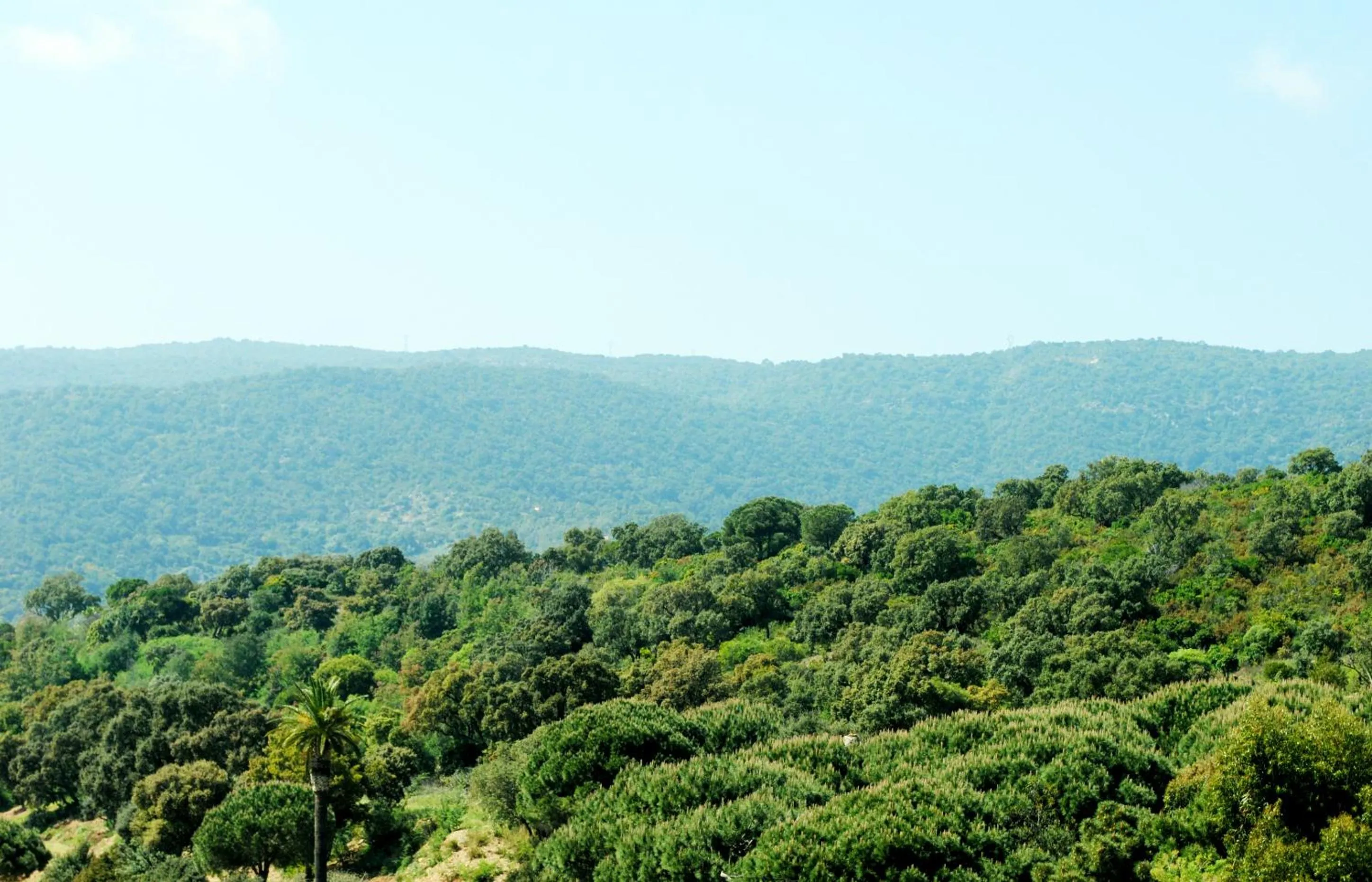 View (from property/room) in Cap Nègre Hôtel