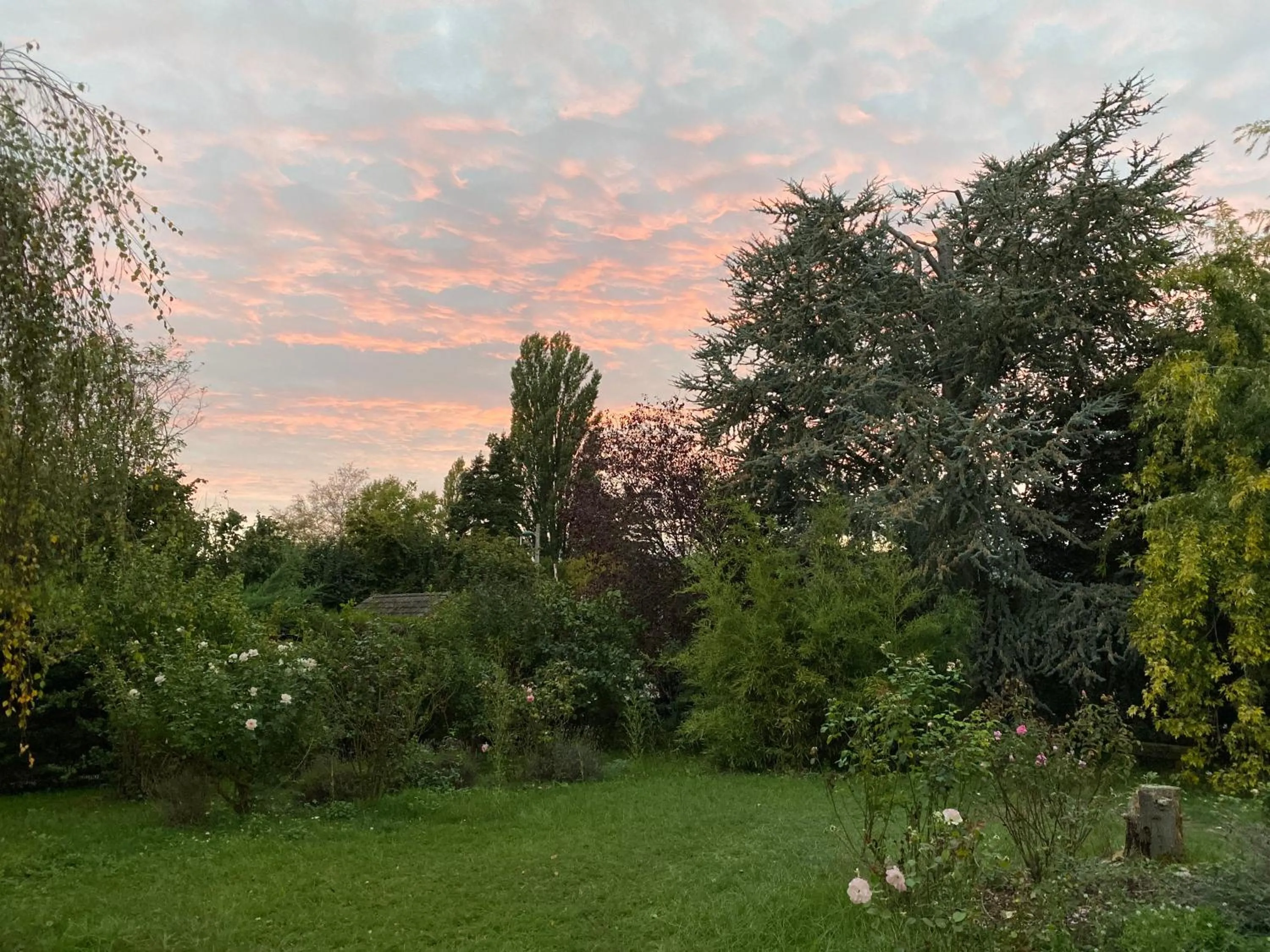 Property building in Villa Escapade Colmar avec parking