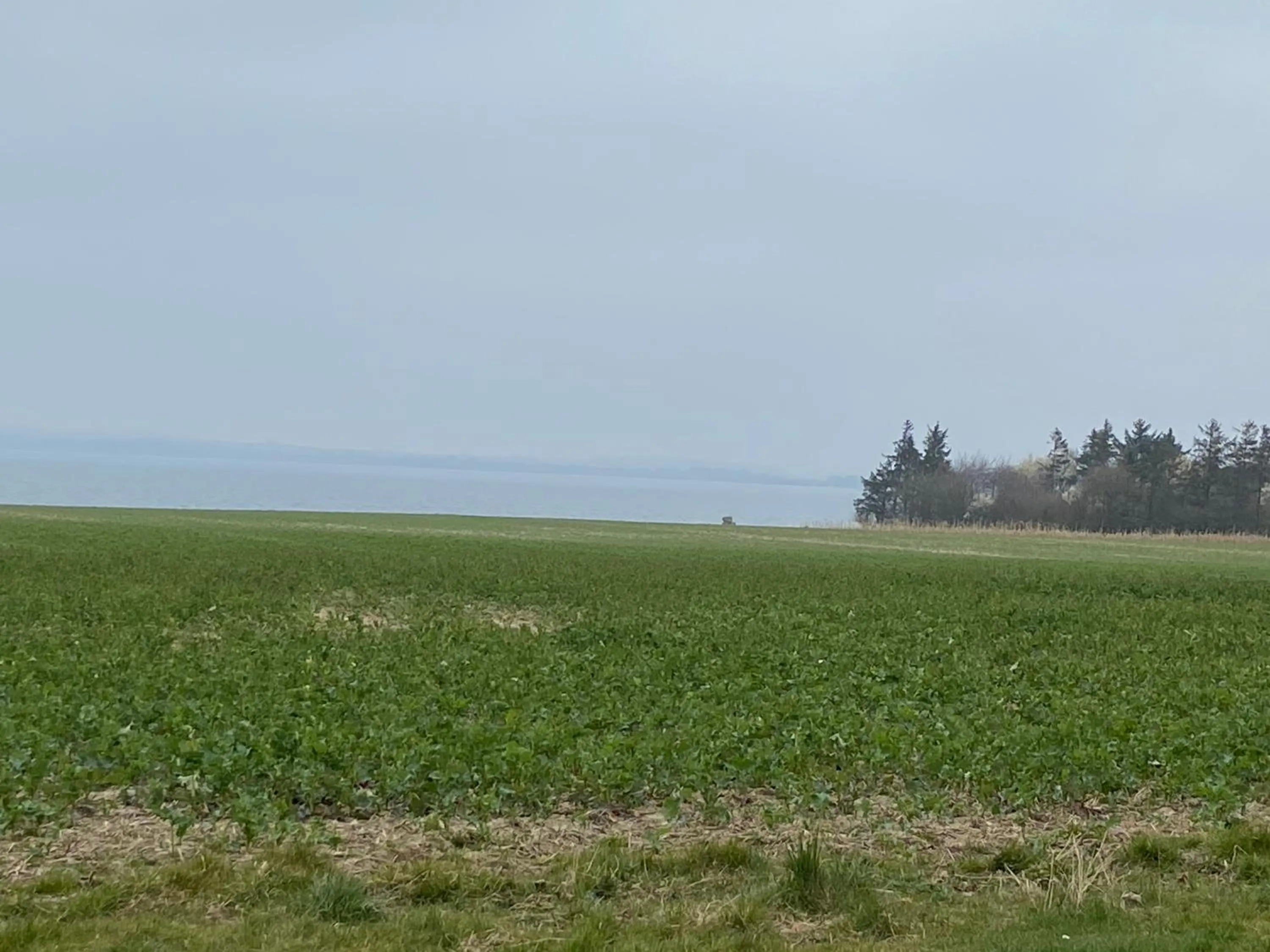 Spring in Den Gamle Apotekergaard