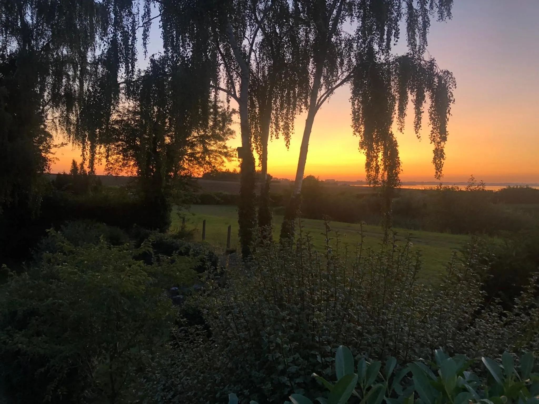 Sunset in Den Gamle Apotekergaard