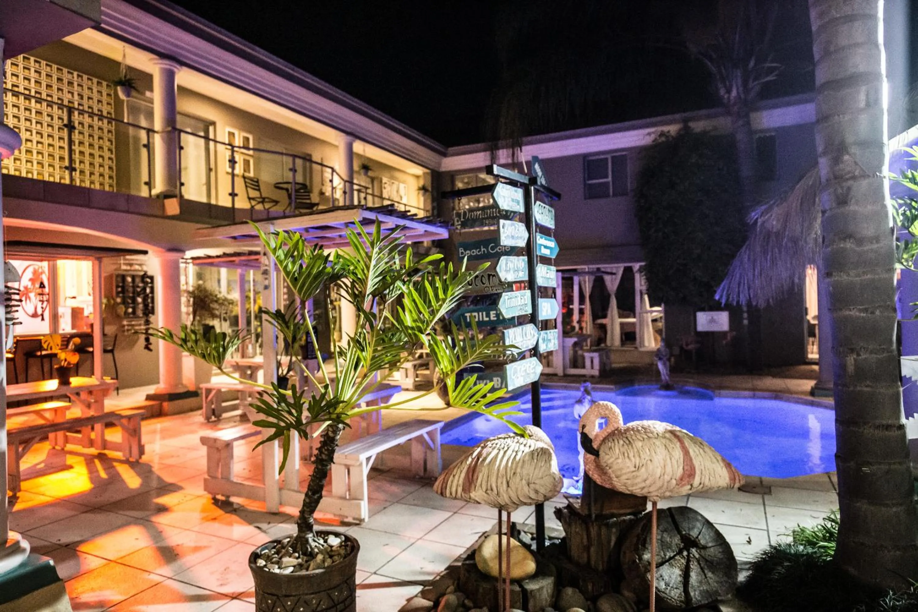 Night in Club Cocomo