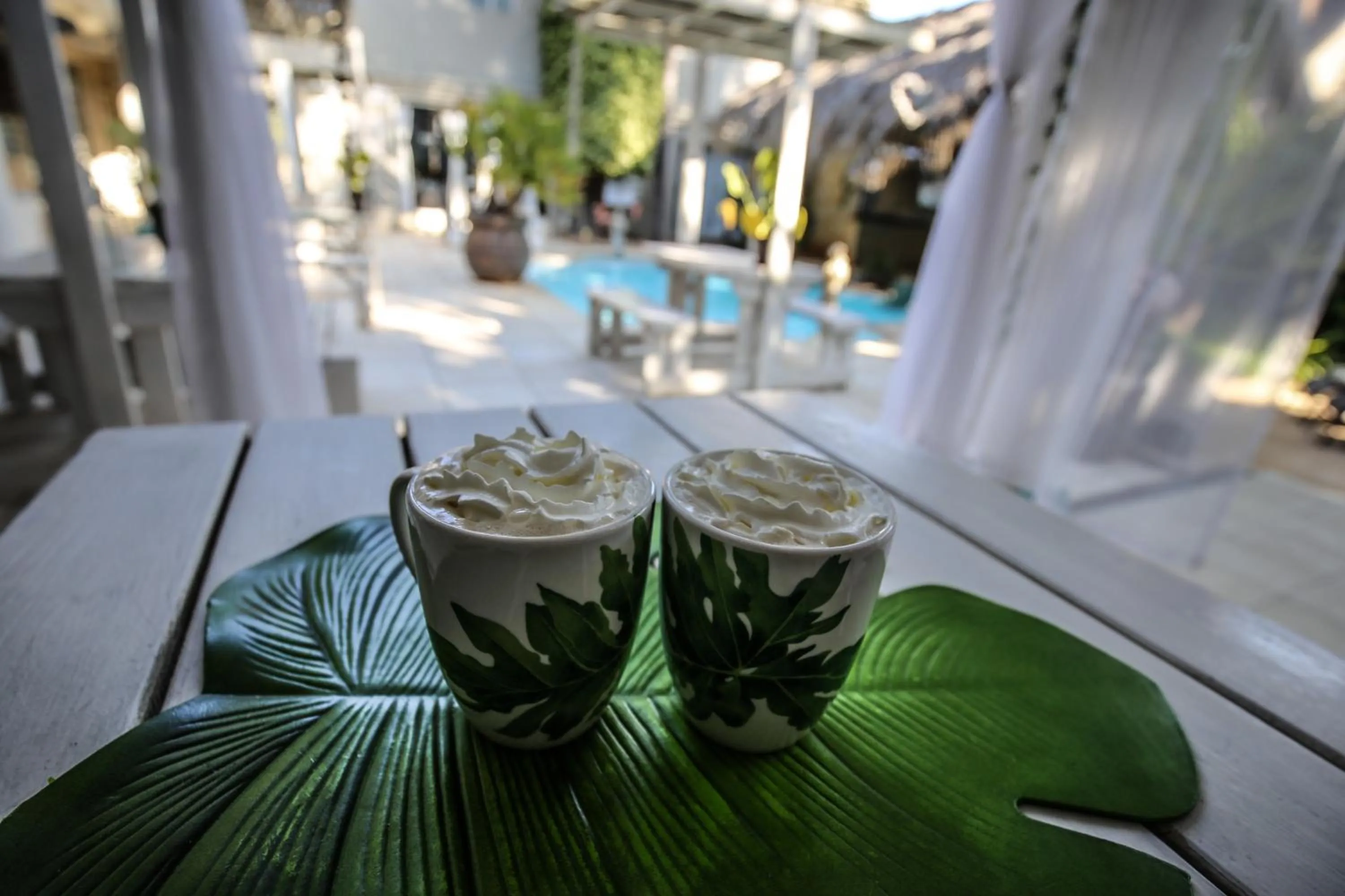 Swimming pool in Club Cocomo