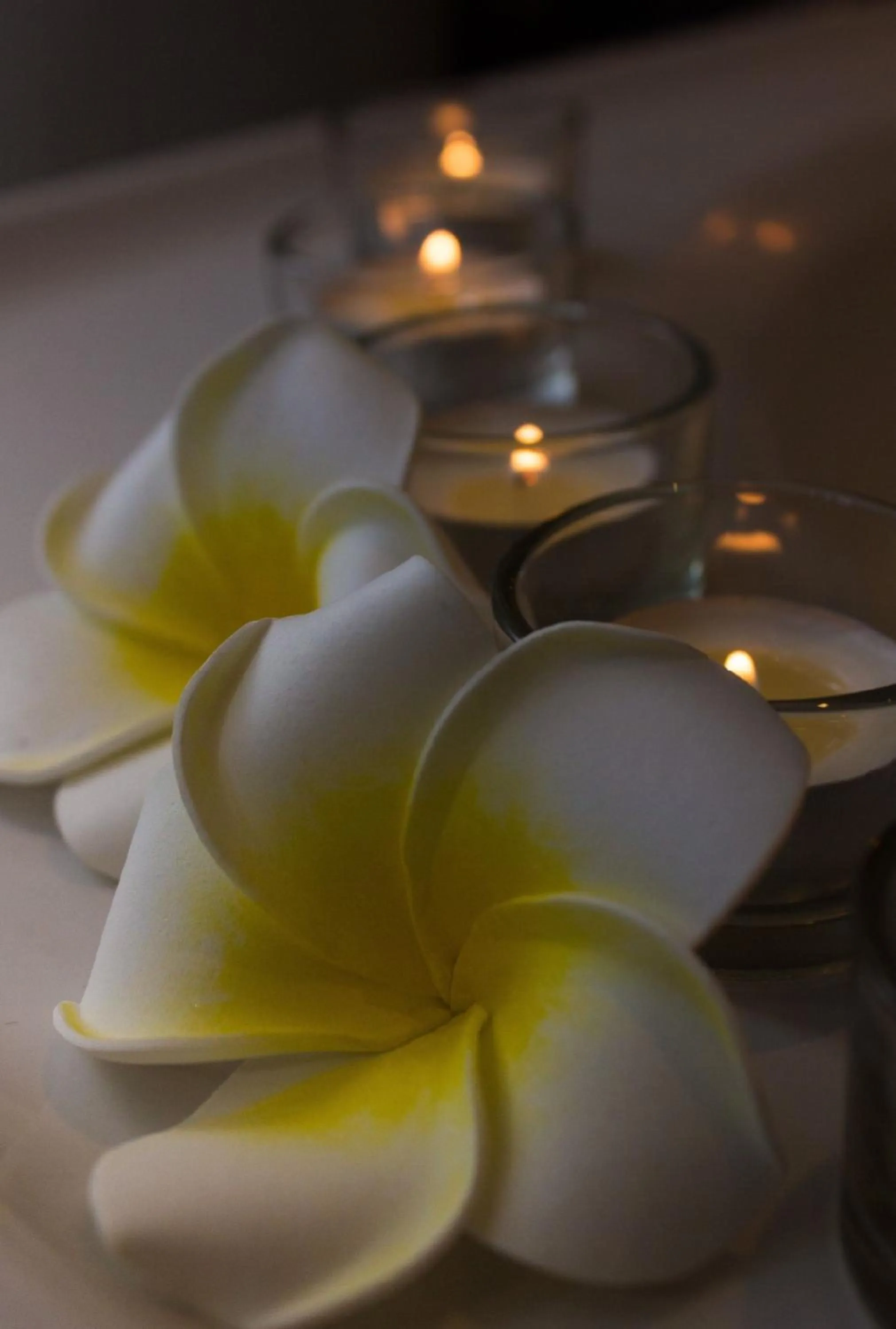 Decorative detail in Club Cocomo