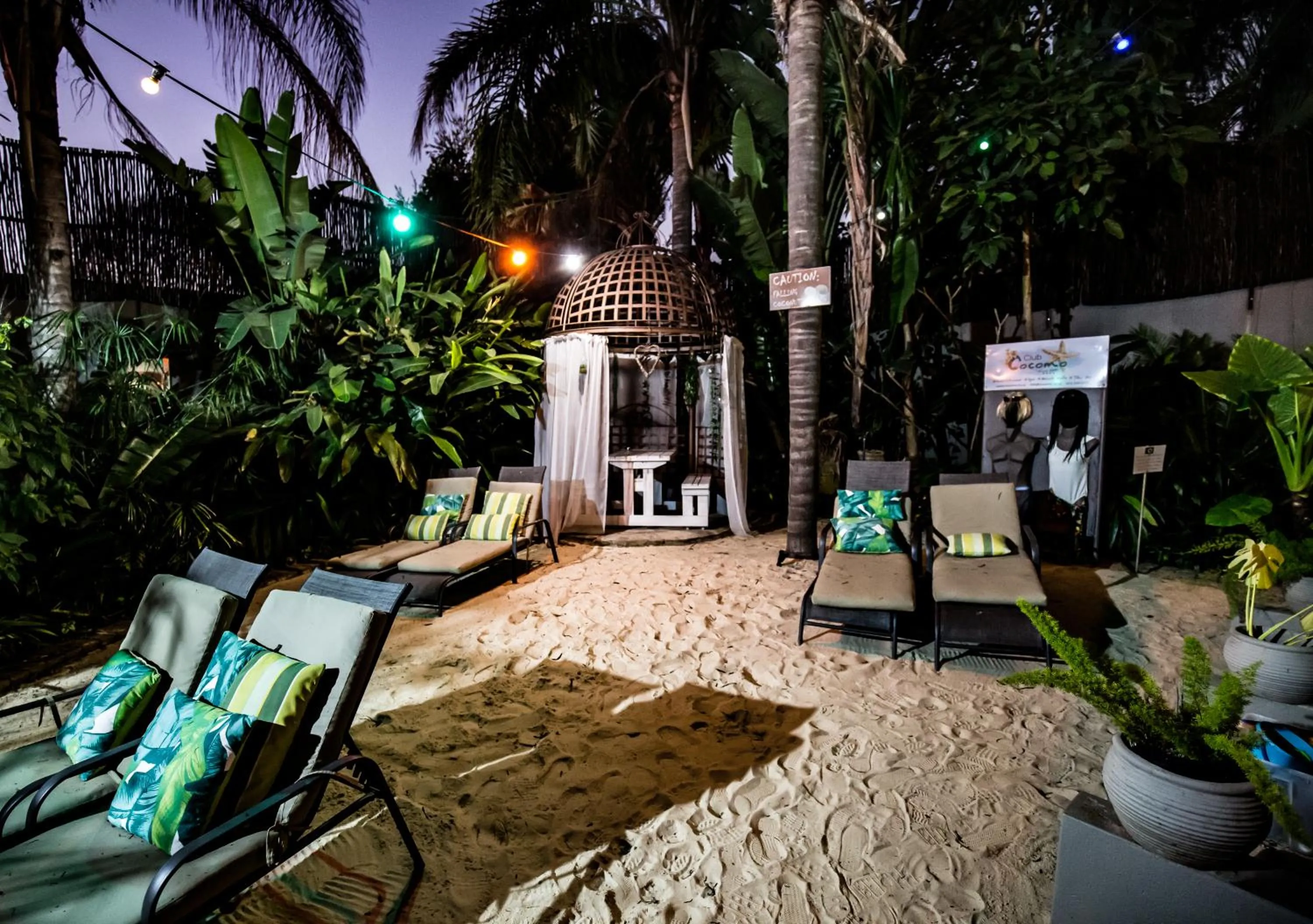 Night in Club Cocomo