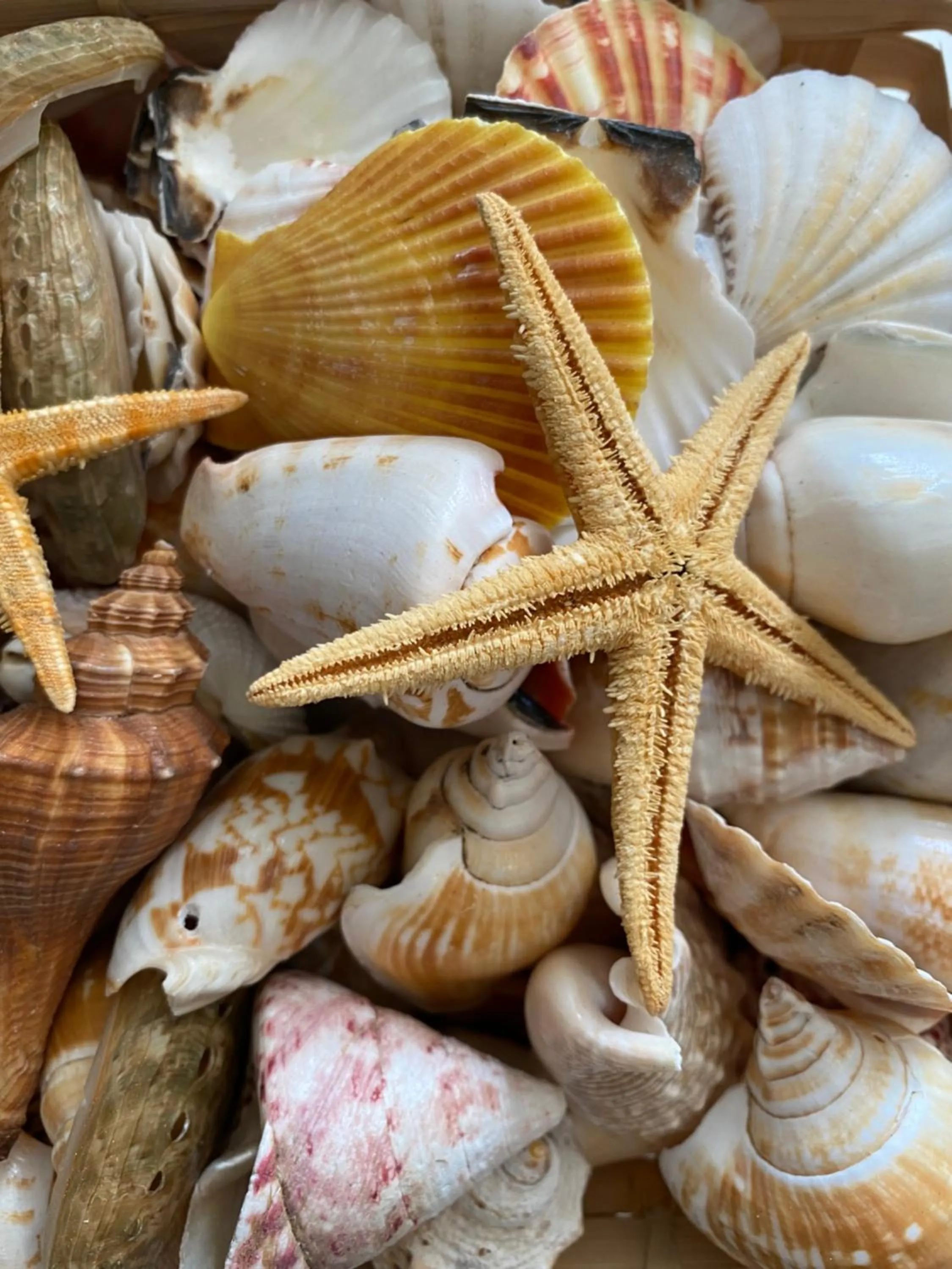 Decorative detail in Club Cocomo