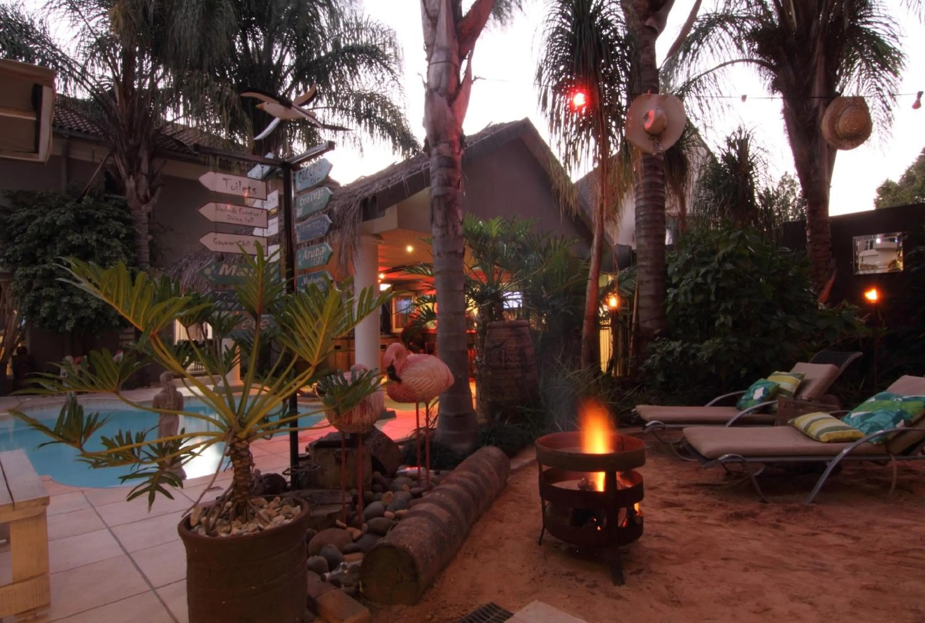 Winter in Club Cocomo