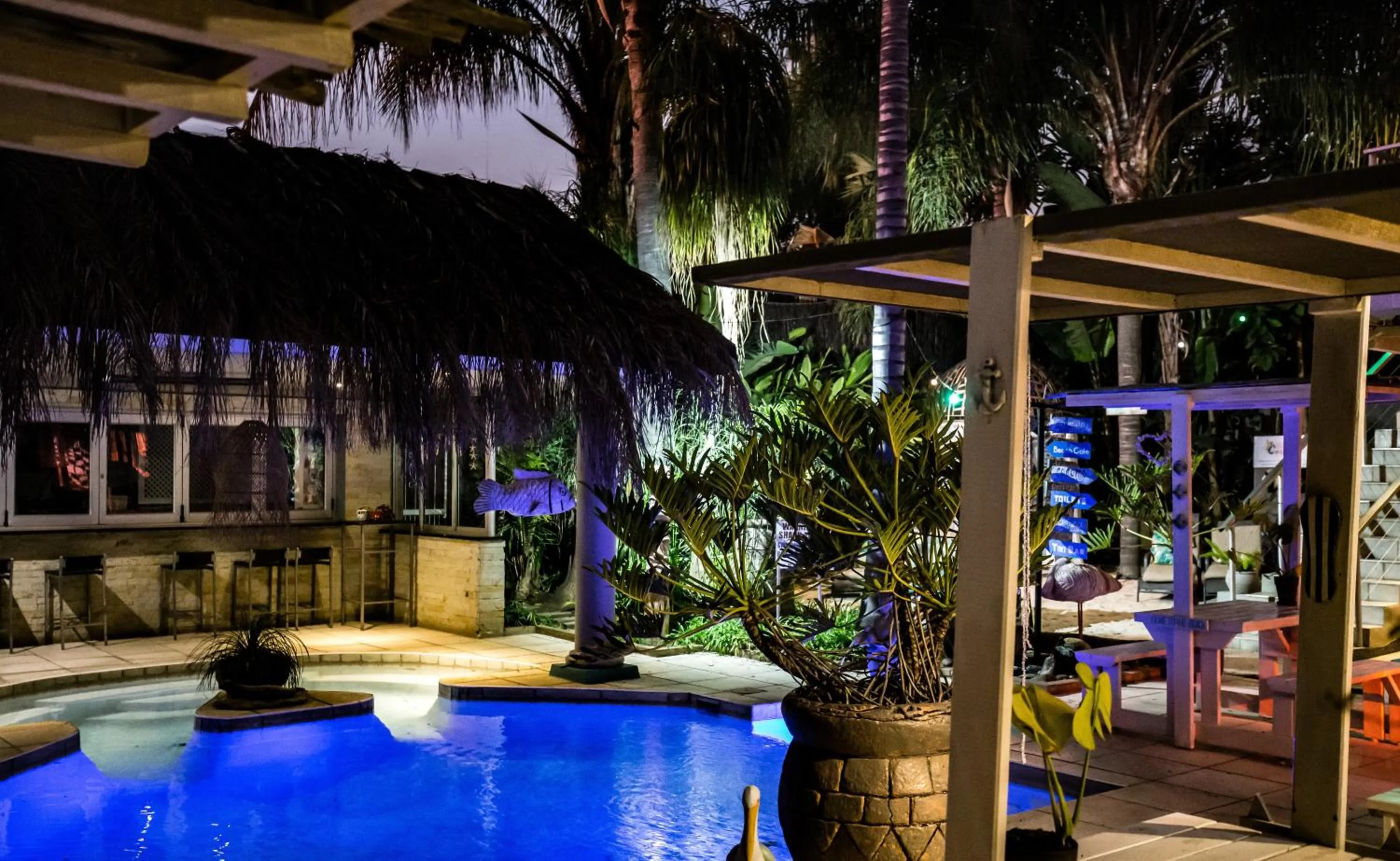 Night in Club Cocomo