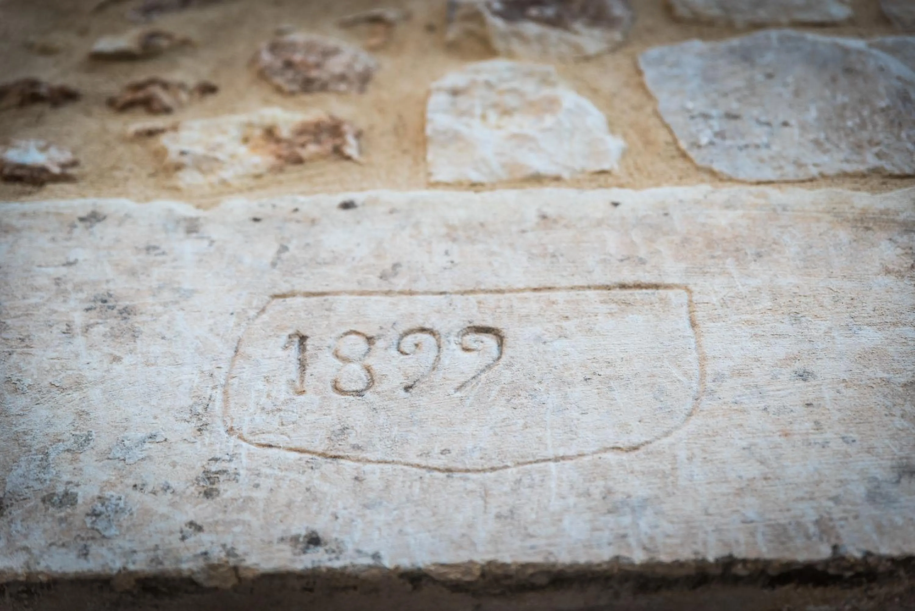 Logo/Certificate/Sign in Borgo Monachella