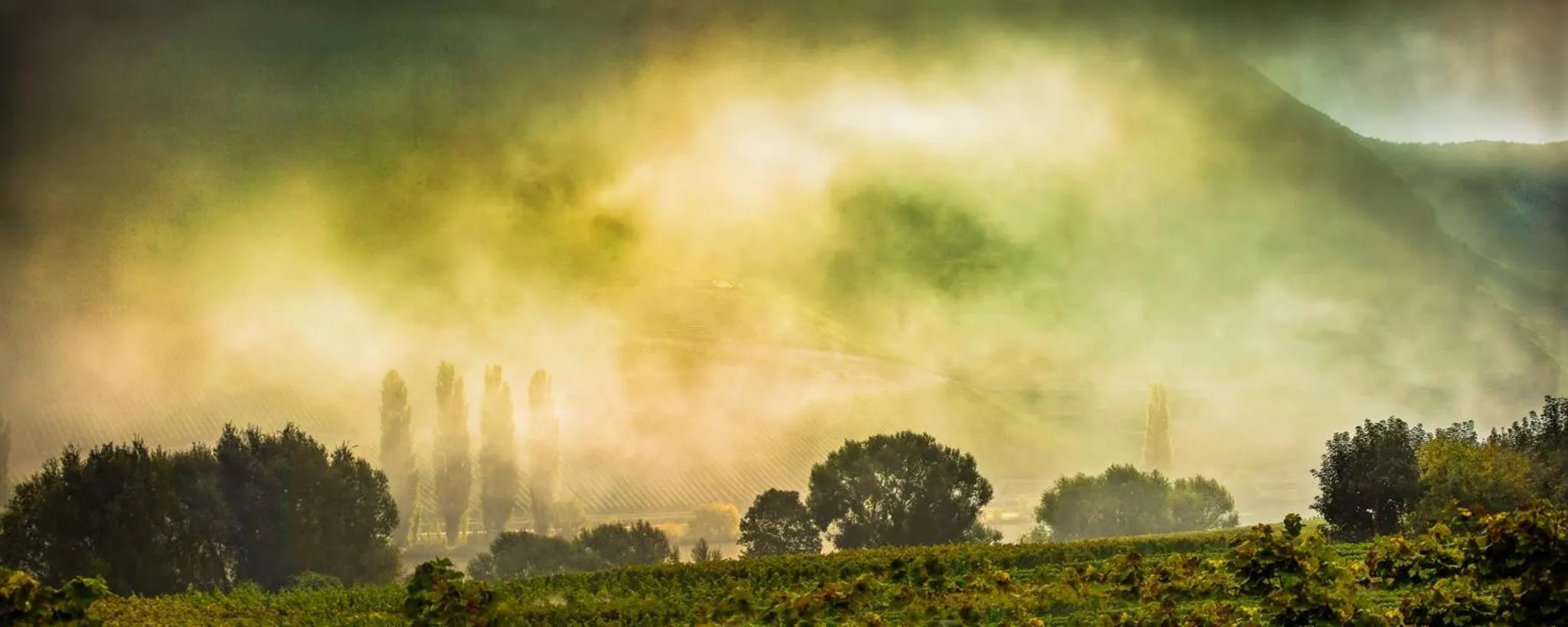 Neighbourhood in Weingut & Gästehaus Christoph Clüsserath