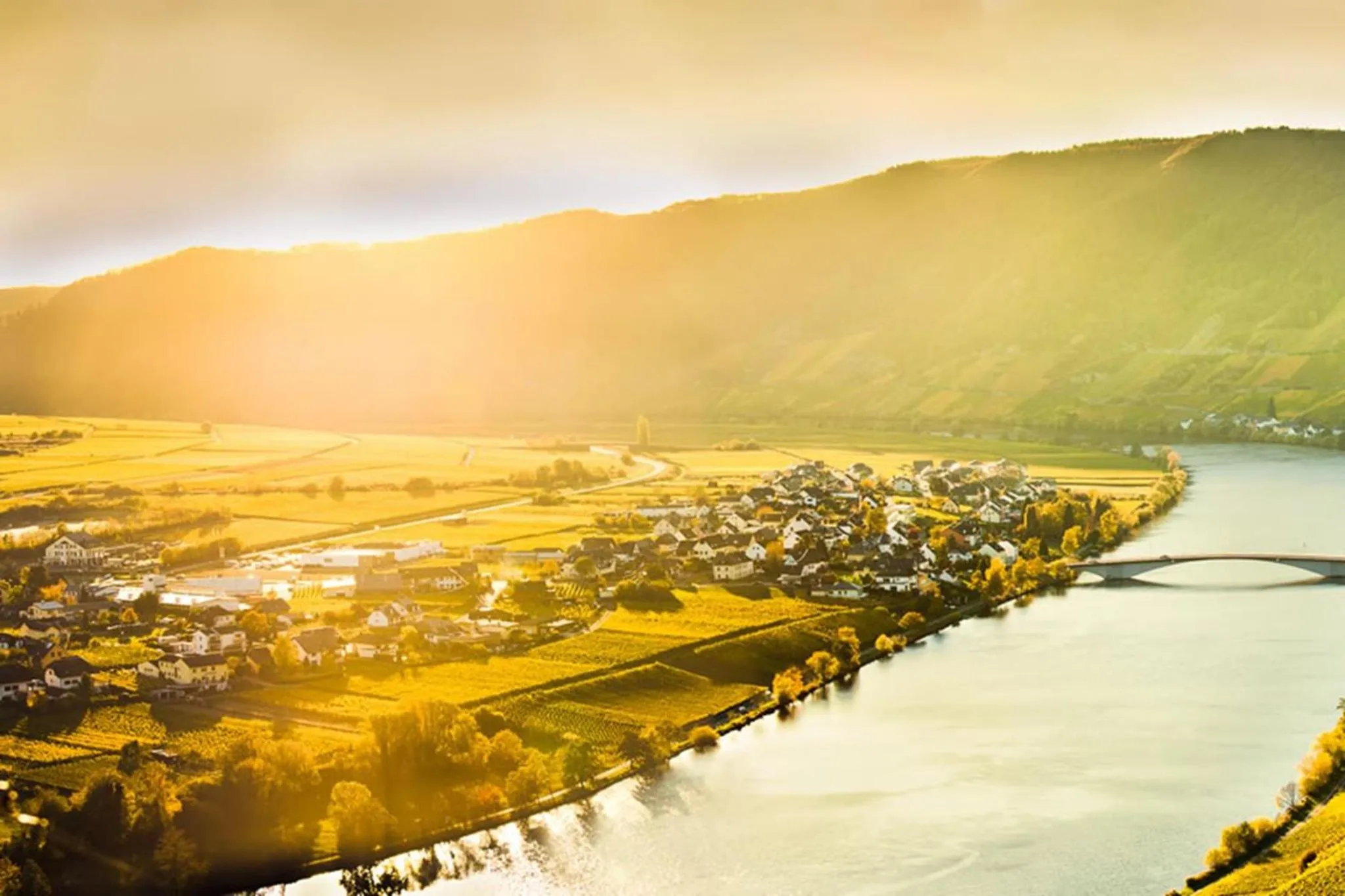 Neighbourhood in Weingut & Gästehaus Christoph Clüsserath