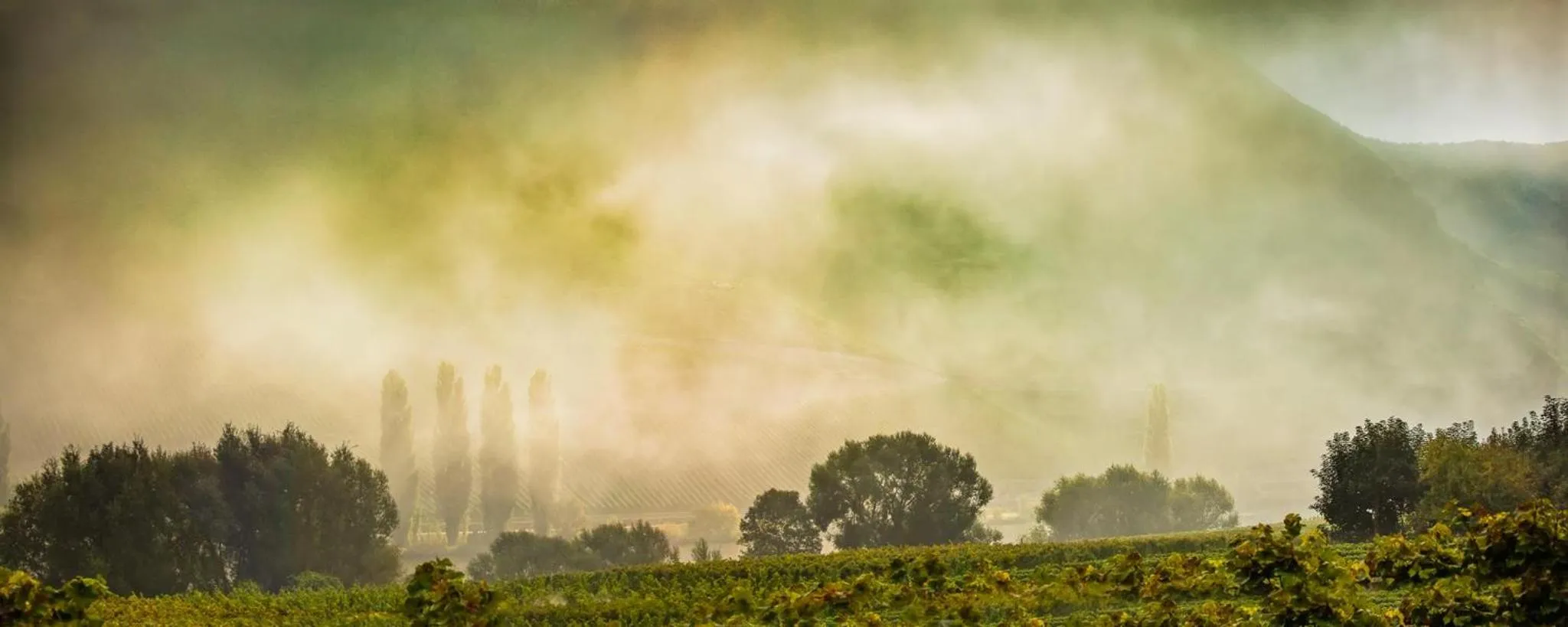 Neighbourhood in Weingut & Gästehaus Christoph Clüsserath