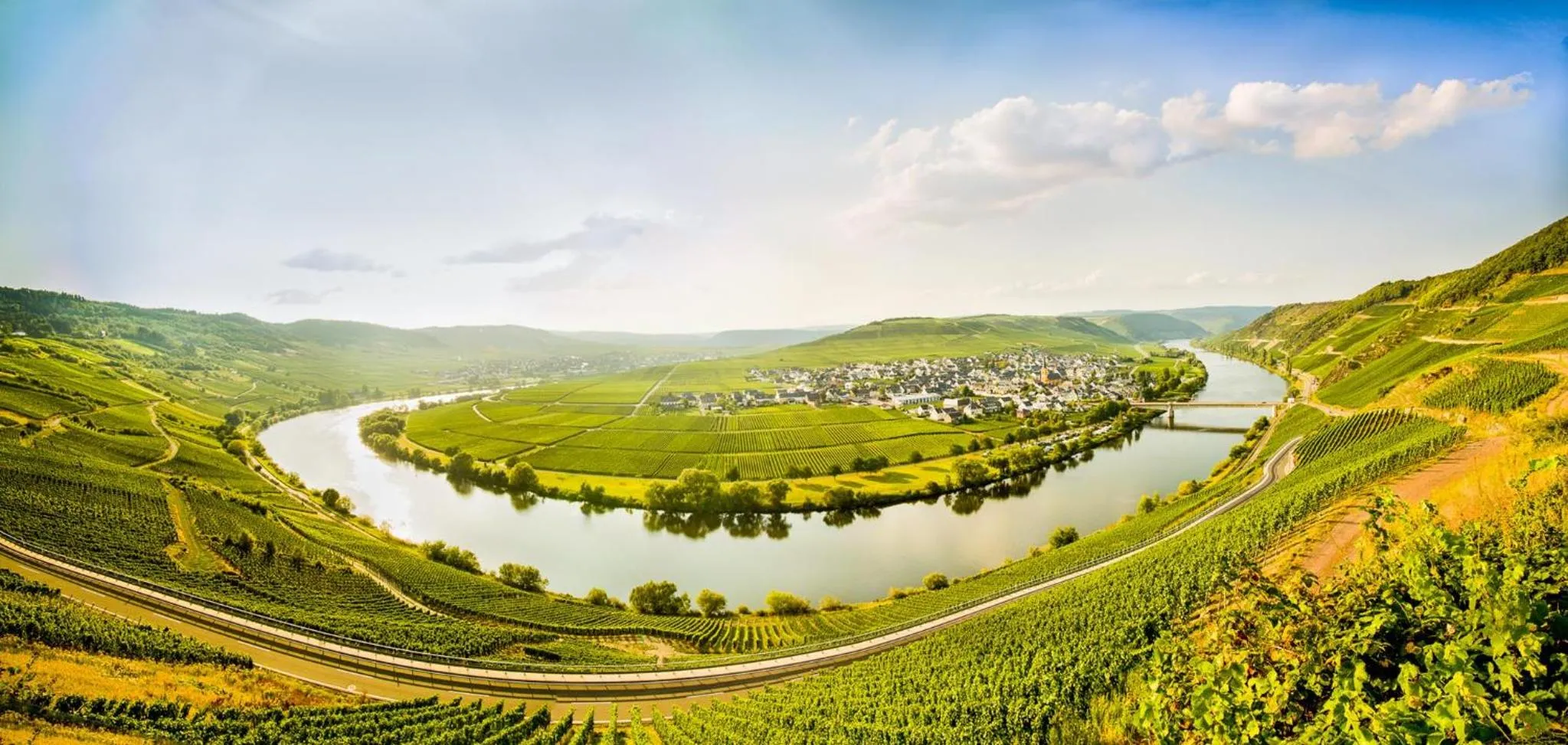 Neighbourhood in Weingut & Gästehaus Christoph Clüsserath