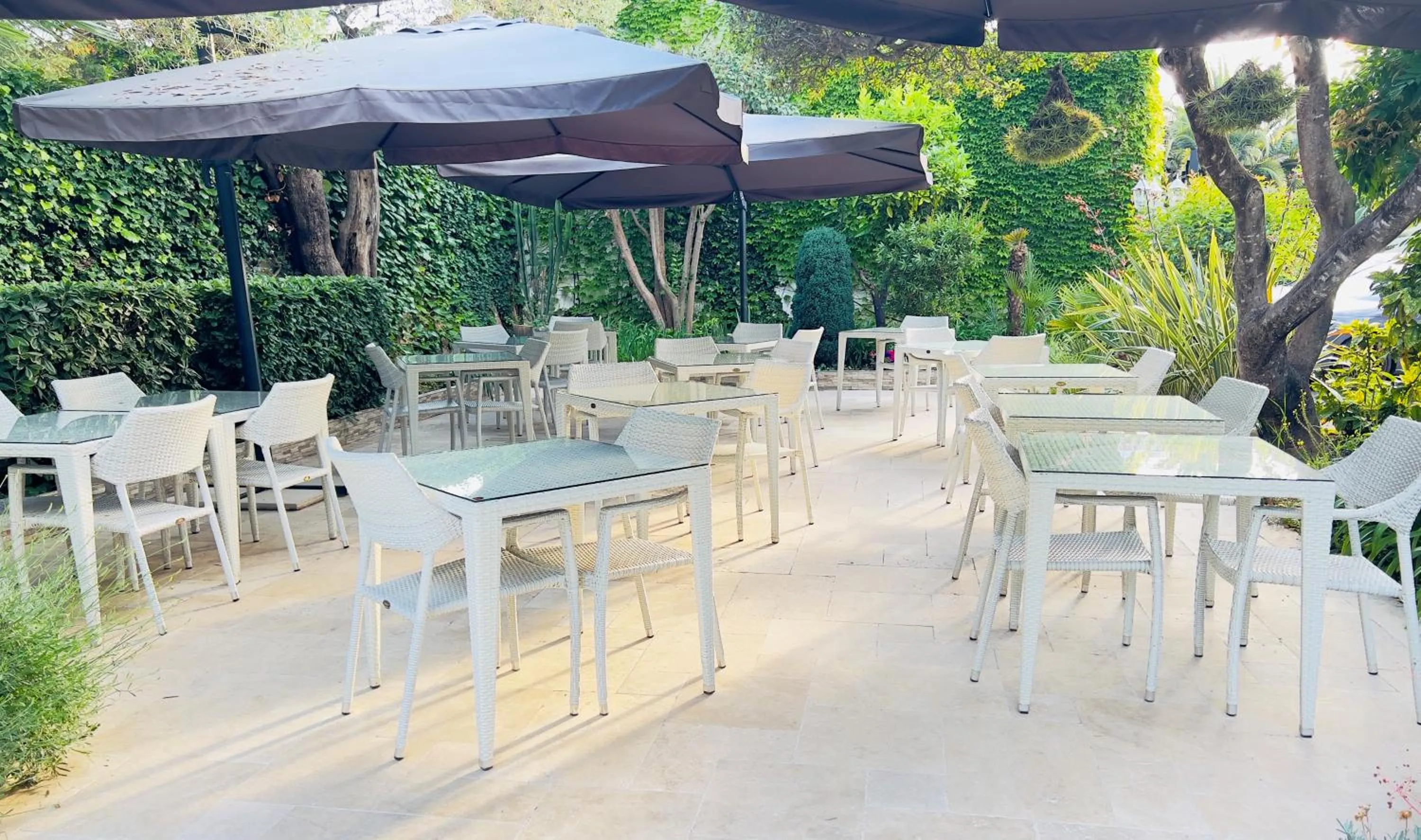 Garden in Hôtel Beau Site - Cap d'Antibes