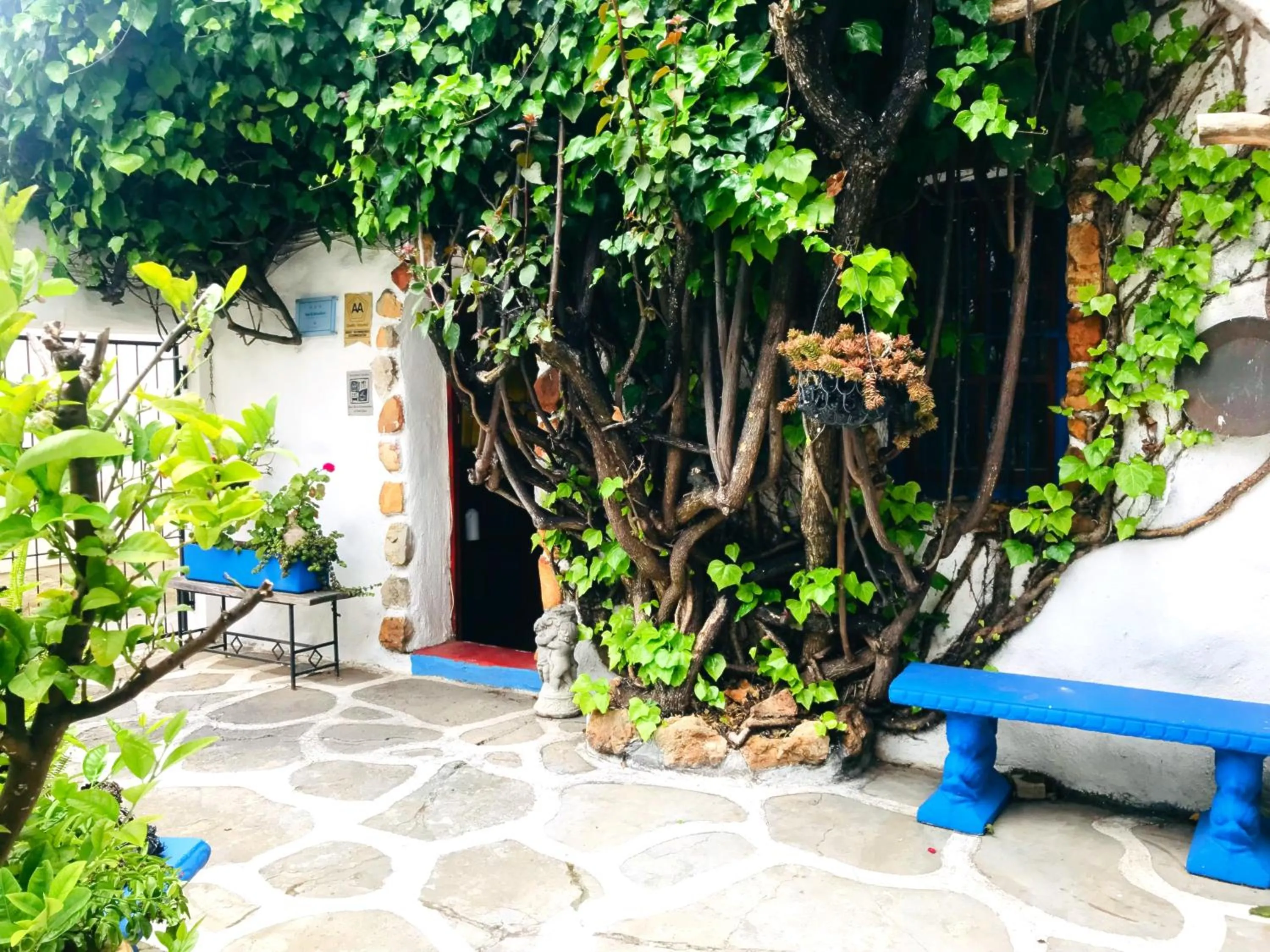 Property building in Athenian Villa