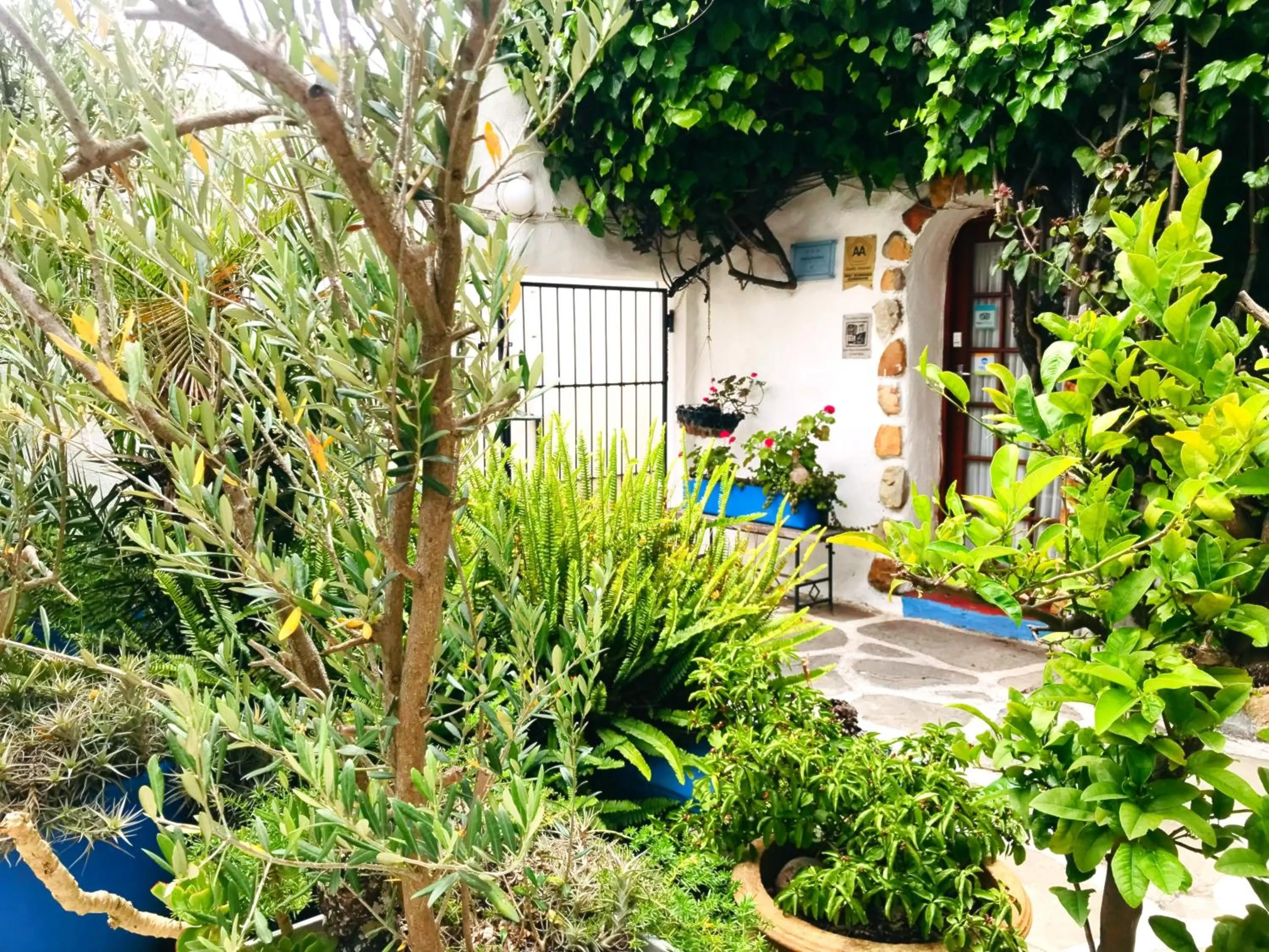 Inner courtyard view in Athenian Villa