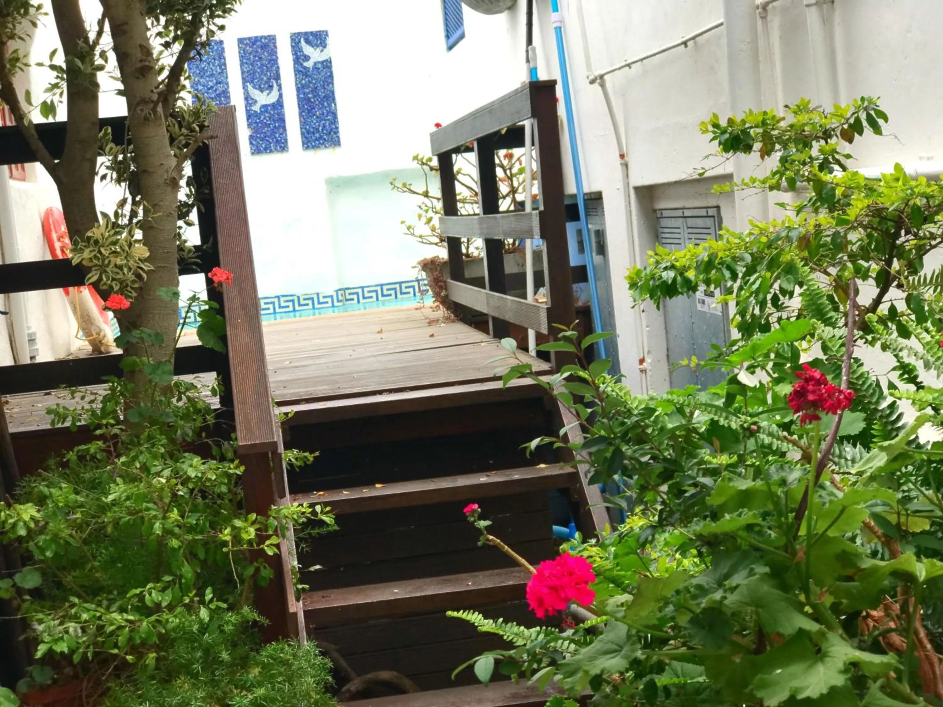 Swimming pool in Athenian Villa