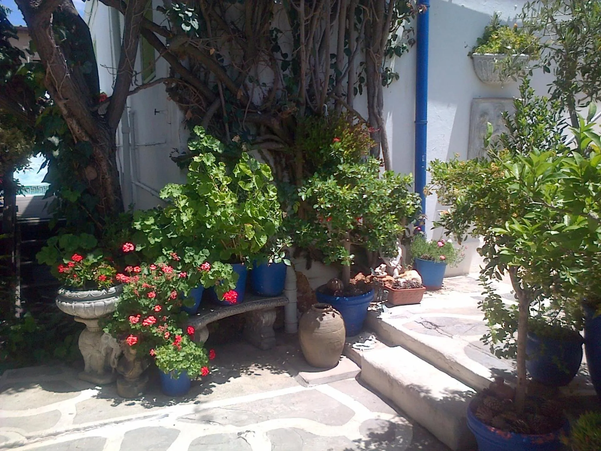 Patio in Athenian Villa