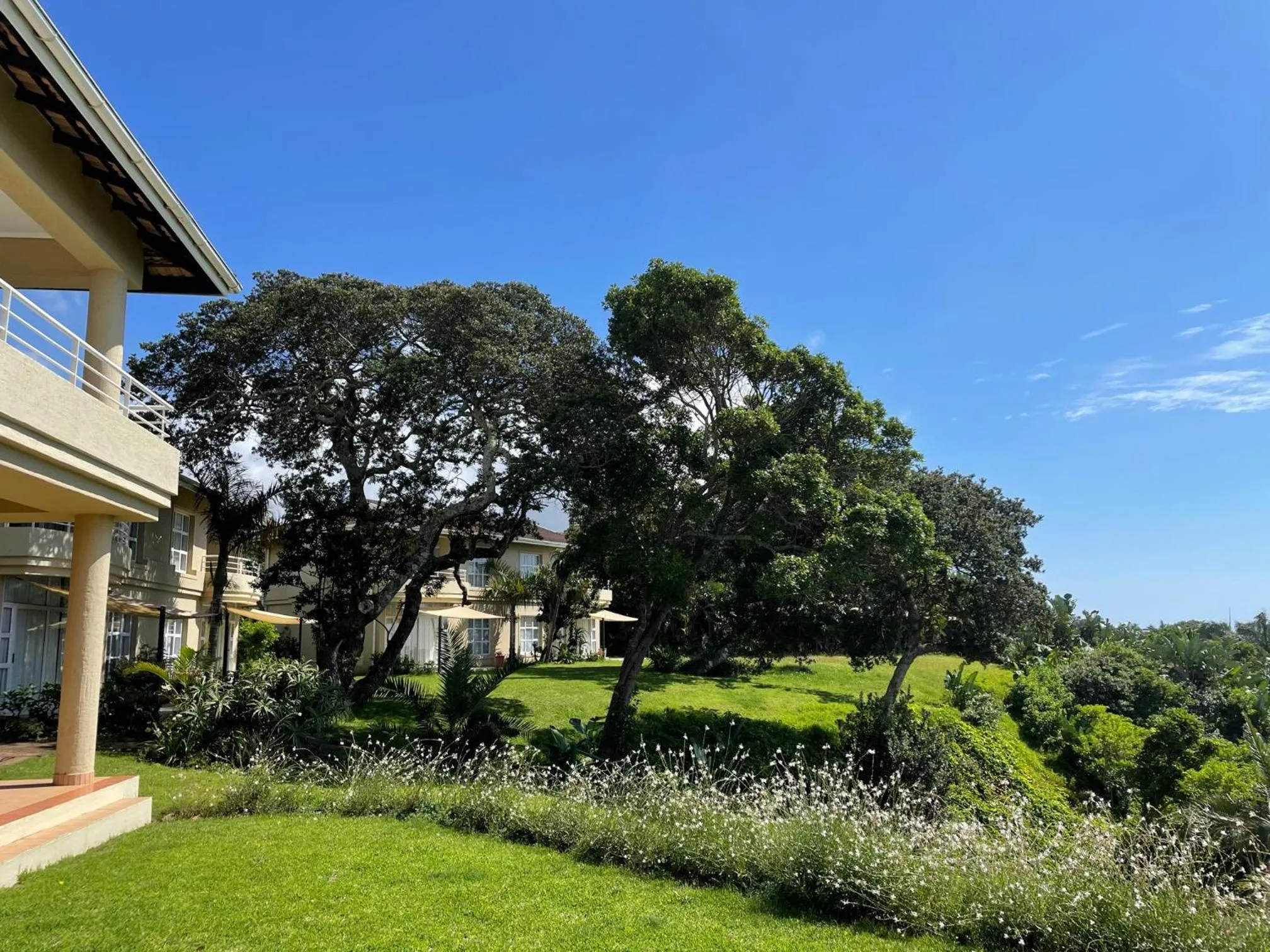 Property building in Albatross Guesthouse