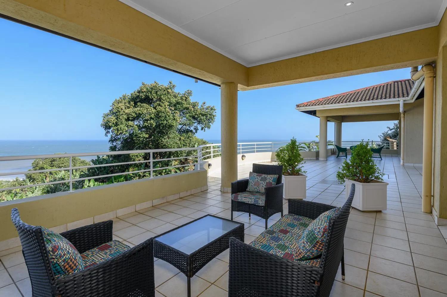 Patio in Albatross Guesthouse