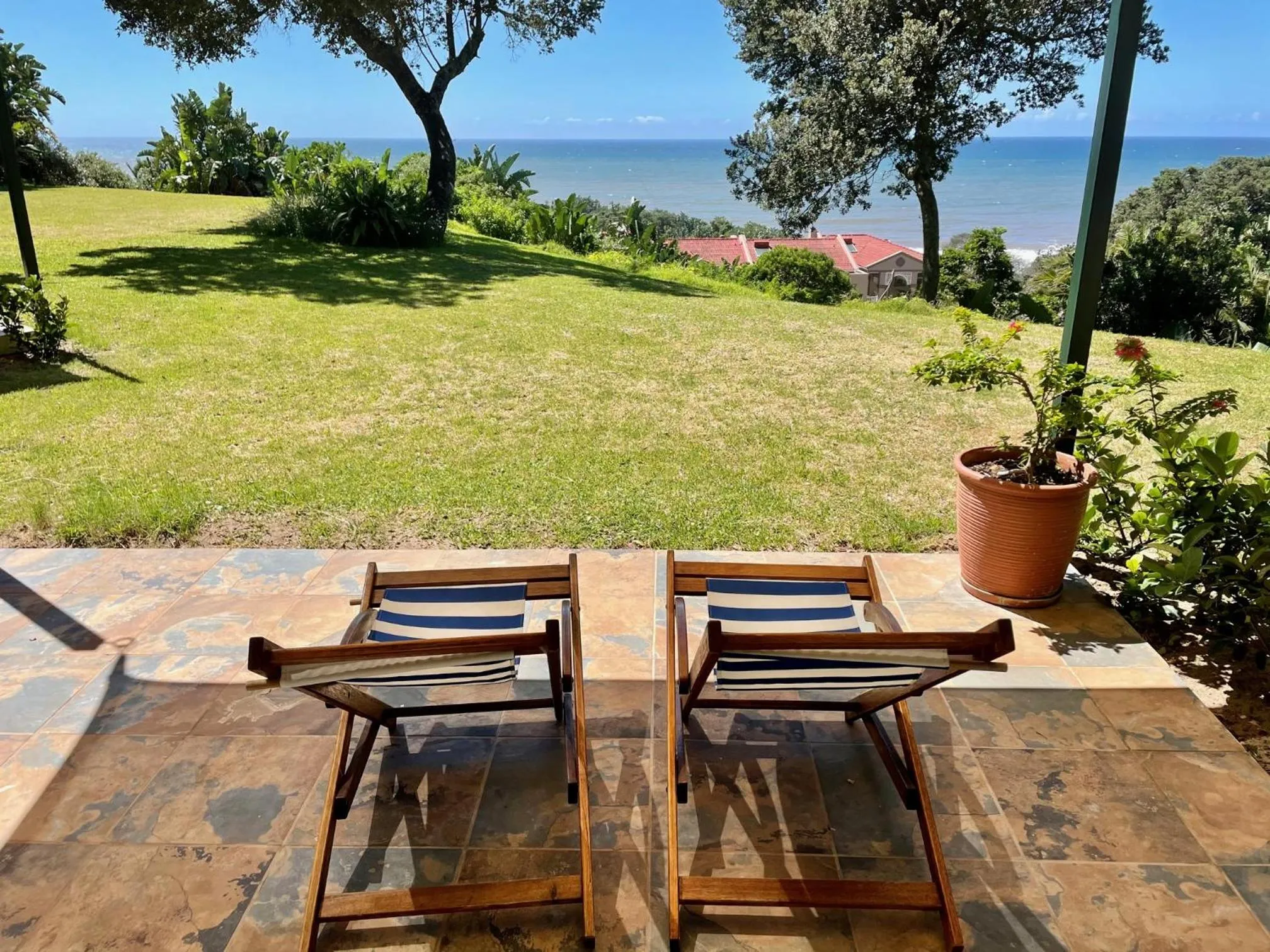 Garden in Albatross Guesthouse