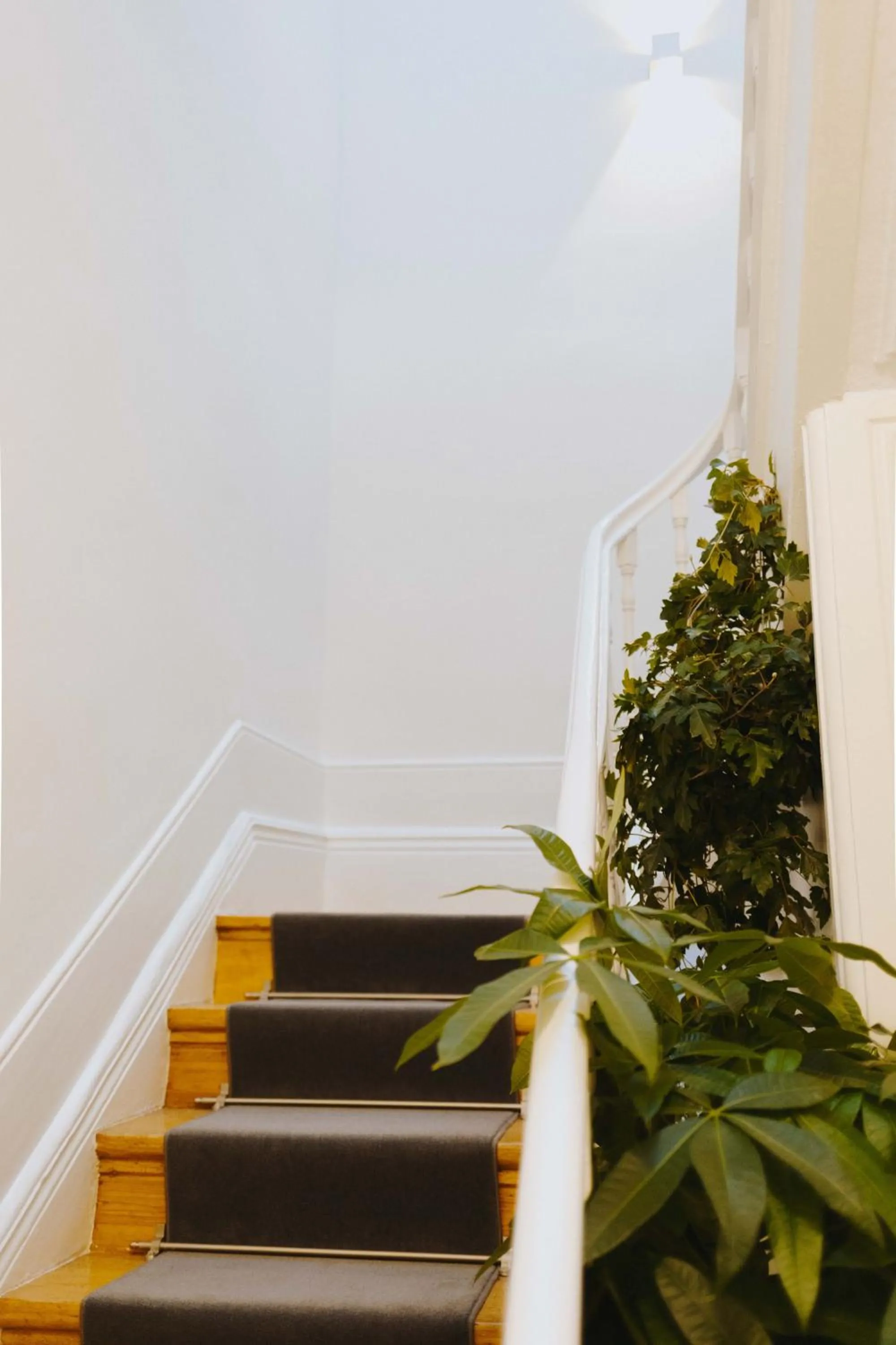 aDuquesa - GuestHouse